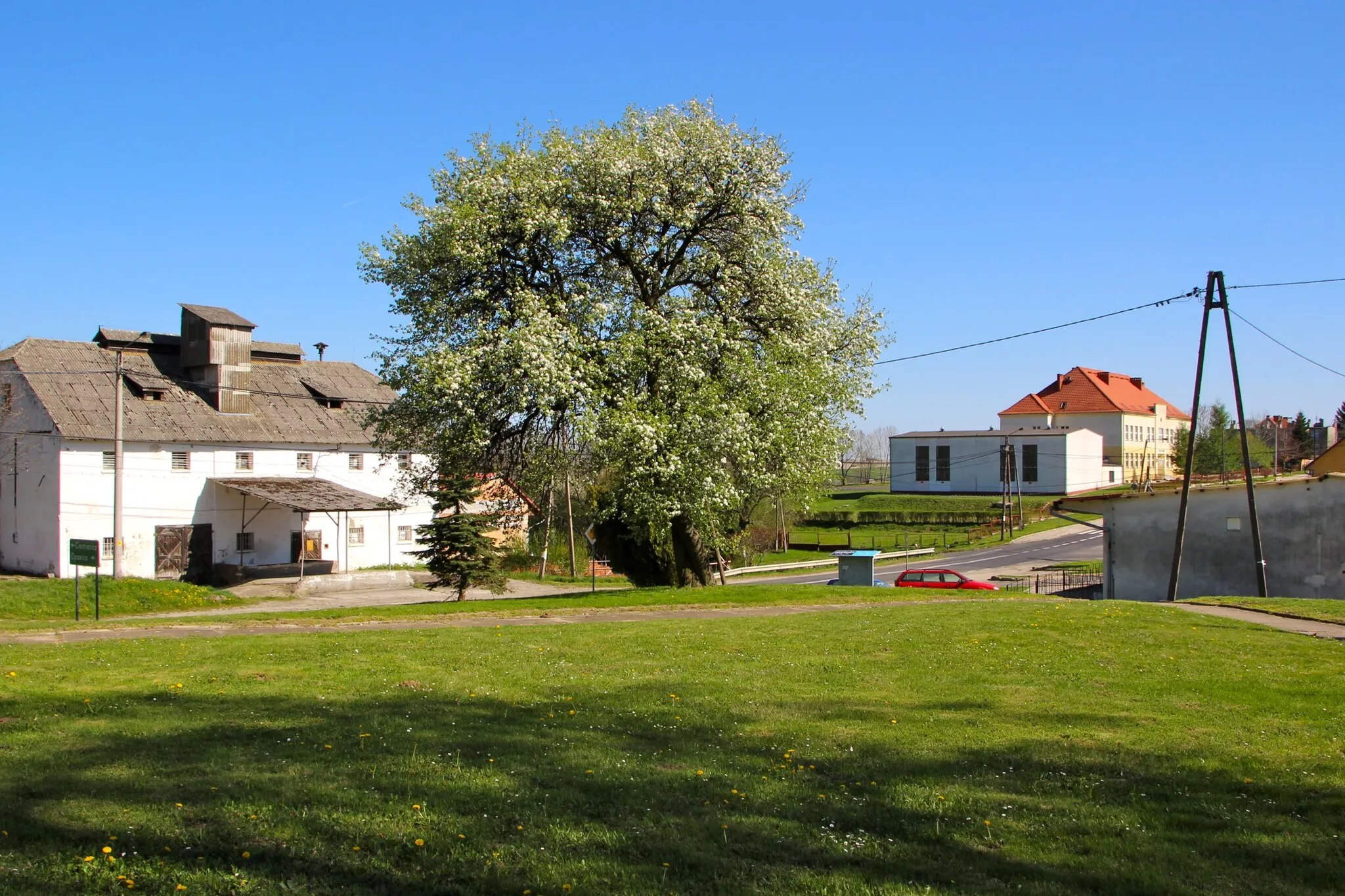 Photo showing: Pietrowice (niem. Peterwitz) – wieś w Polsce położona w województwie opolskim, w powiecie głubczyckim, w gminie Głubczyce, w gminie Głubczyce.