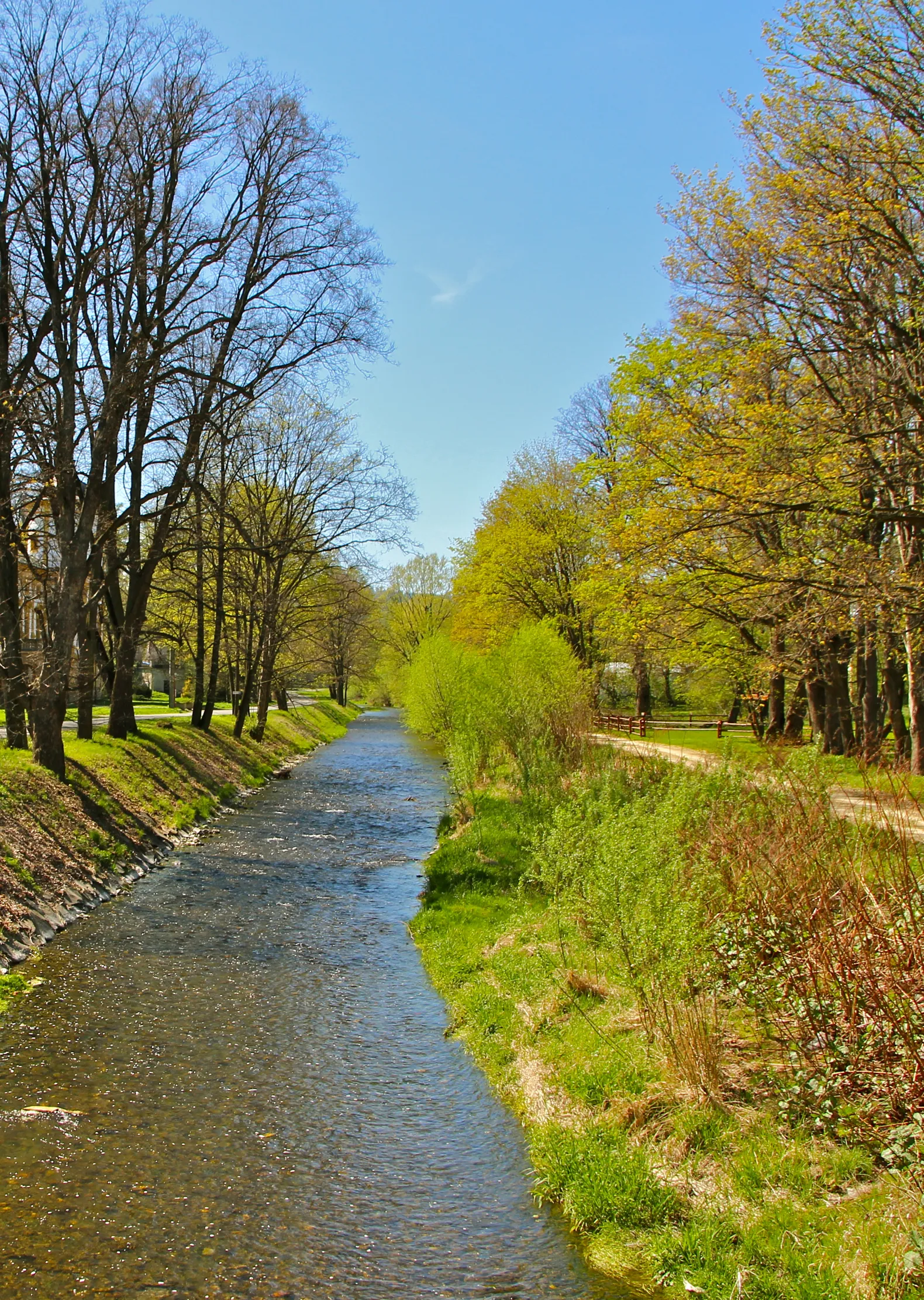 Photo showing: Opawica - rzeka w Polsce i w Republice Czeskiej, lewy dopływ Opawy.