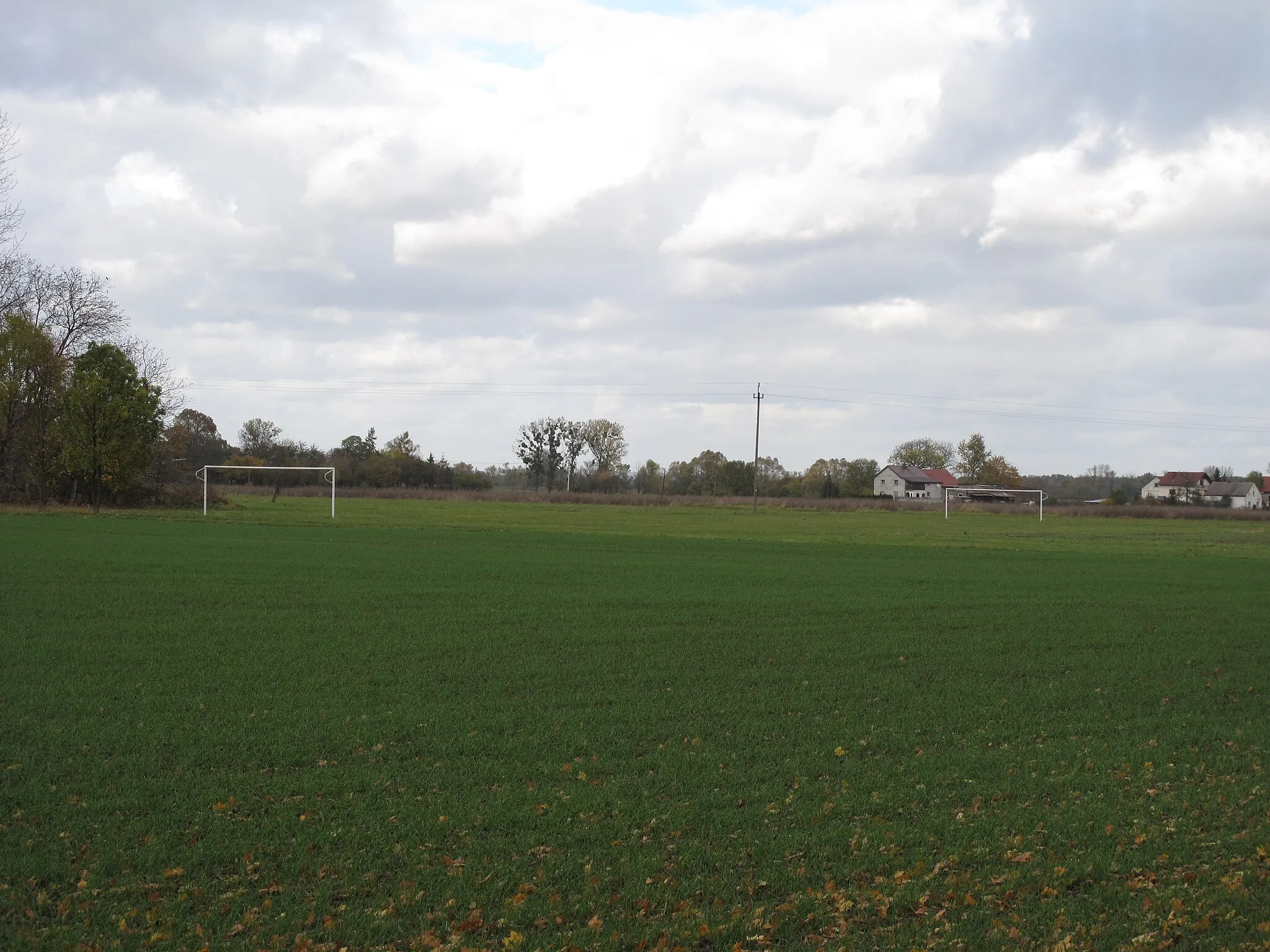 Photo showing: Roszowicki Las. Kędzierzyn-Koźle County, Poland.