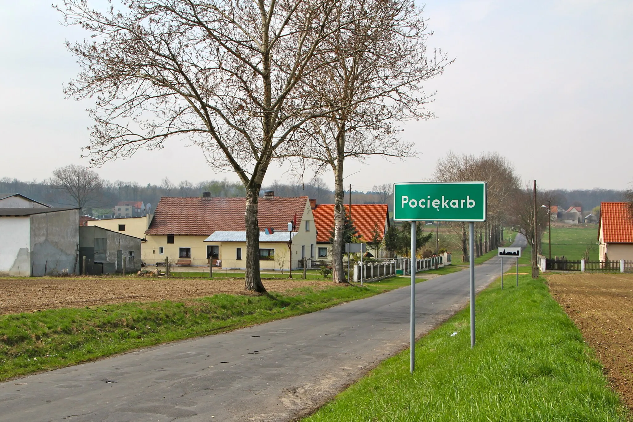 Photo showing: Pociękarb, (dodatkowa nazwa w j. niem. Potzenkarb),  – wieś w Polsce w województwie opolskim, w powiecie kędzierzyńsko-kozielskim, w gminie Strzeleczki.