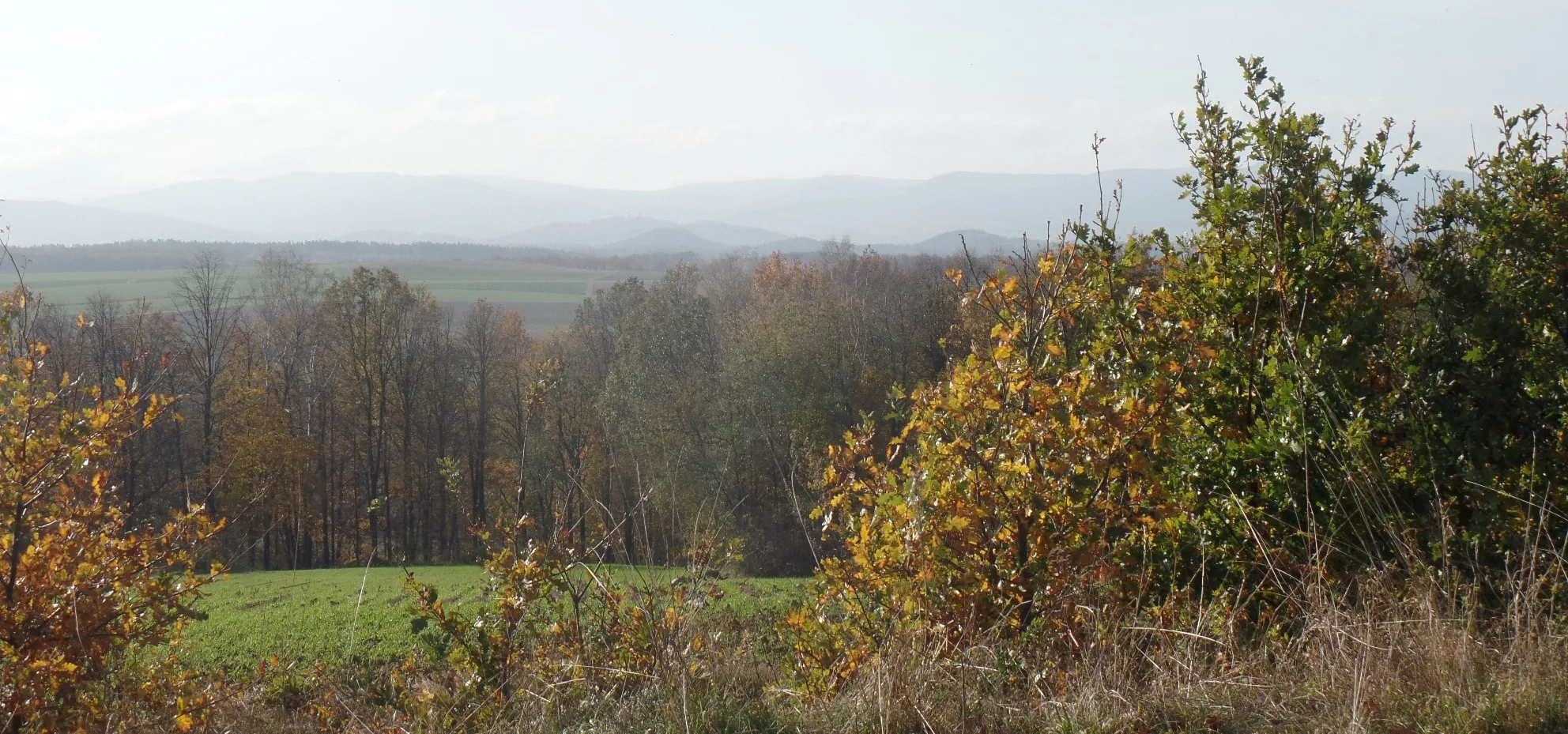 Photo showing: Widok z pagórka w pobliżu Jodłowa. Widok w kierunku południowym, w oddali Góry Złote