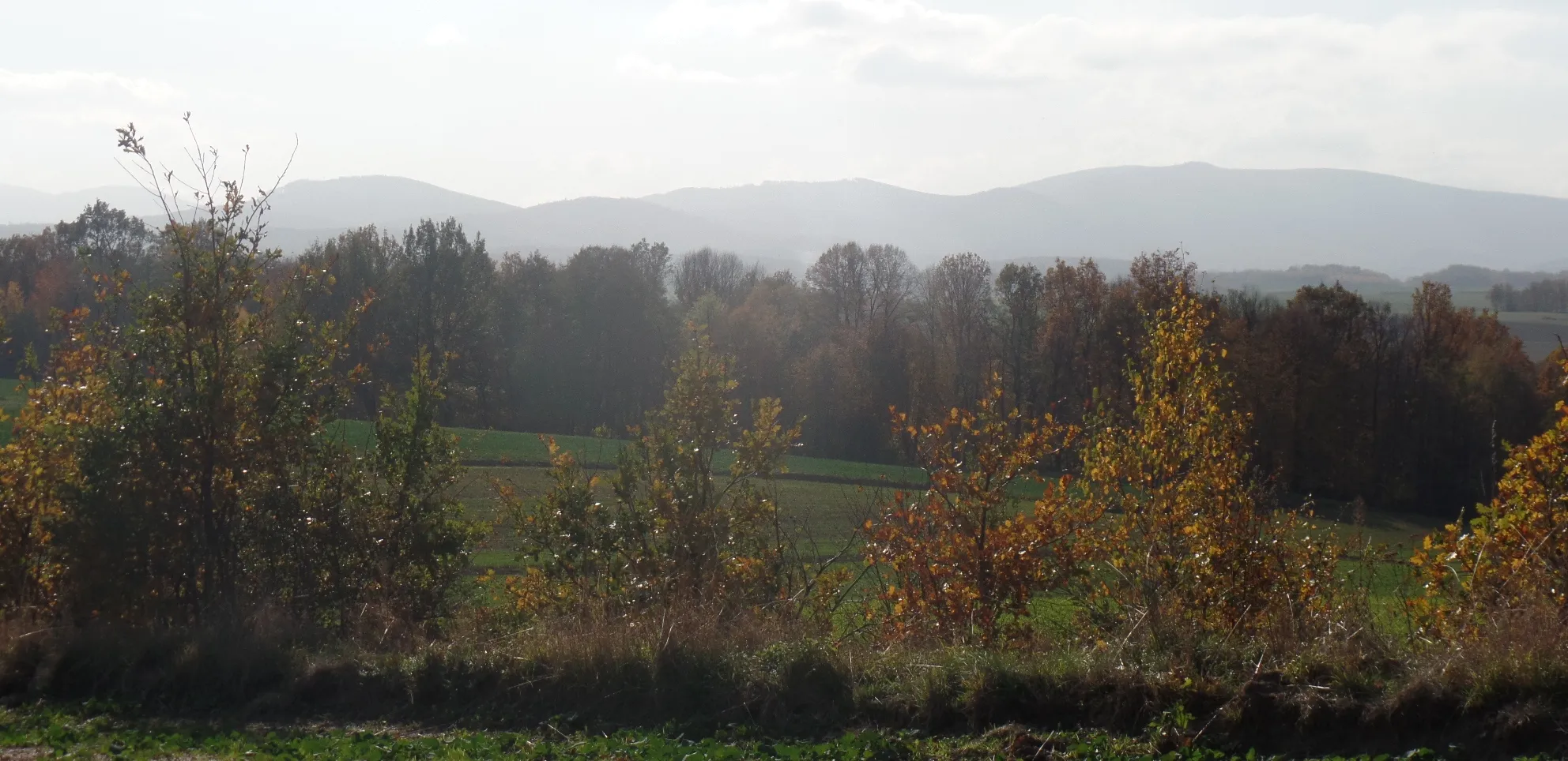 Photo showing: Widok z pagórka w pobliżu Jodłowa. W oddali Góry Złote.