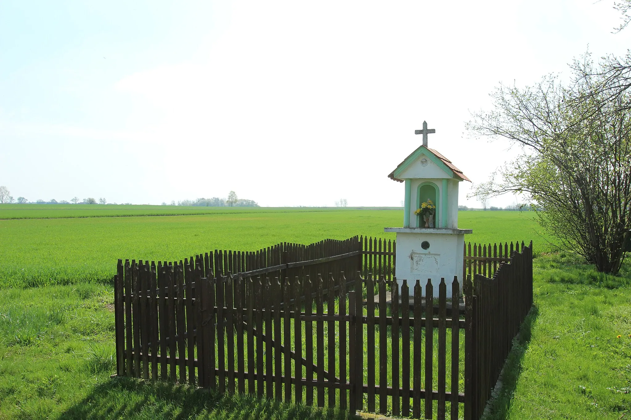 Photo showing: Myszowice – wieś w Polsce położona w województwie opolskim, w powiecie nyskim, w gminie Korfantów.