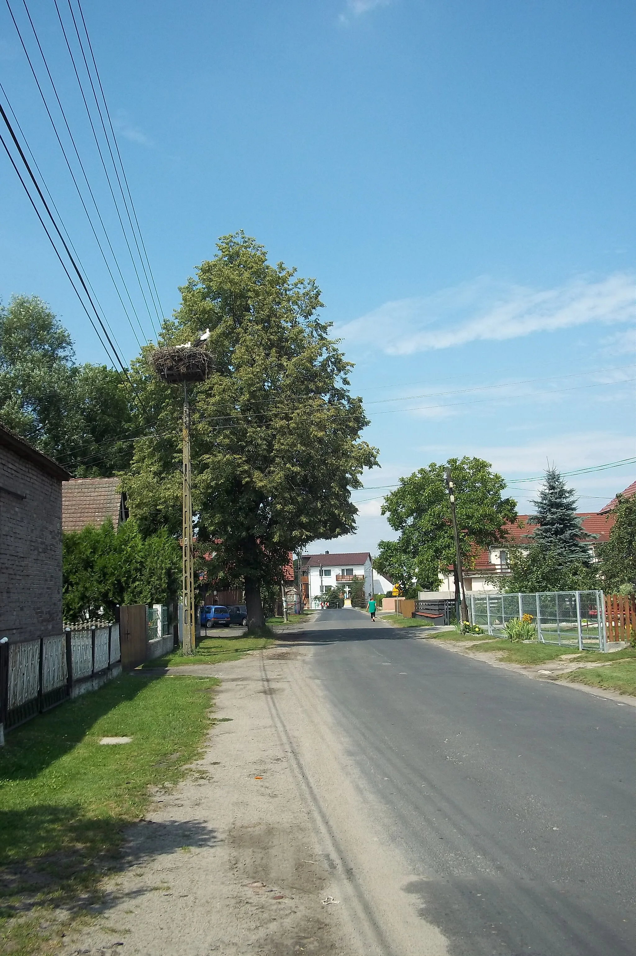 Photo showing: Gniazdo bocianów w Dąbrowicach