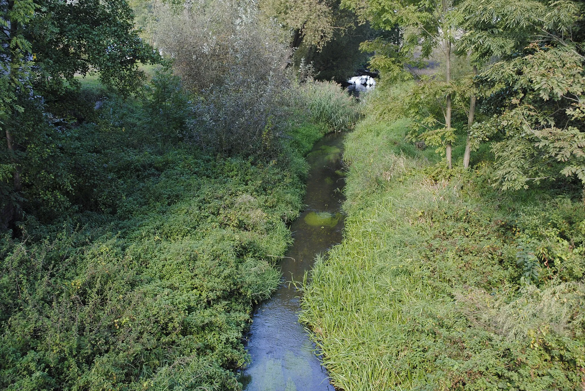 Photo showing: Swornica, Bach im oberschlesischen Dorf Kepa bei Oppeln