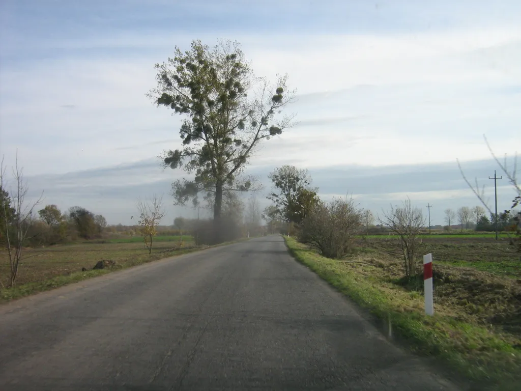 Photo showing: Road to Kopanie from Brzeg city side.