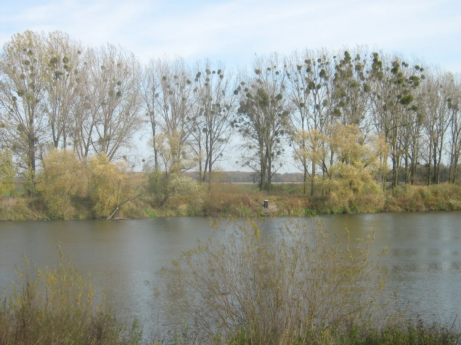 Photo showing: see river Odra and panorama of Stobrawa