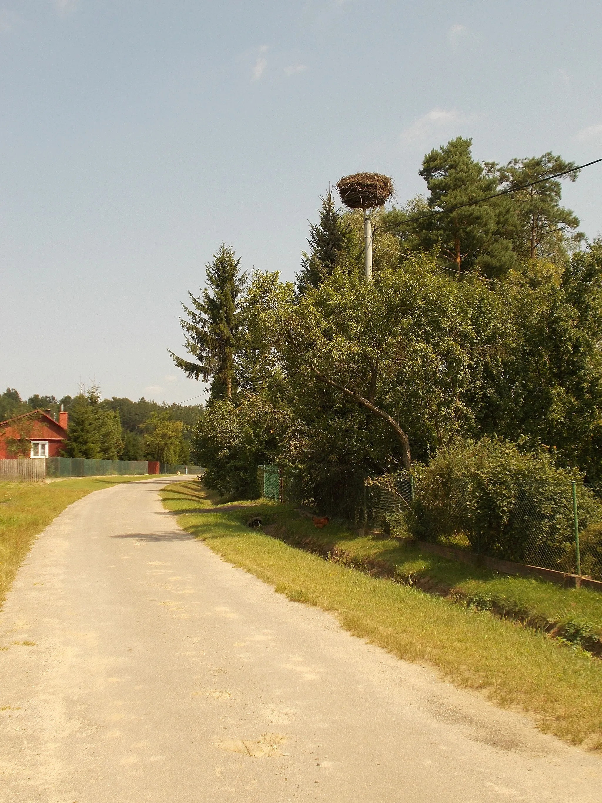 Photo showing: Bocianie gniazdo w miejscowości Kobylnica Wołoska