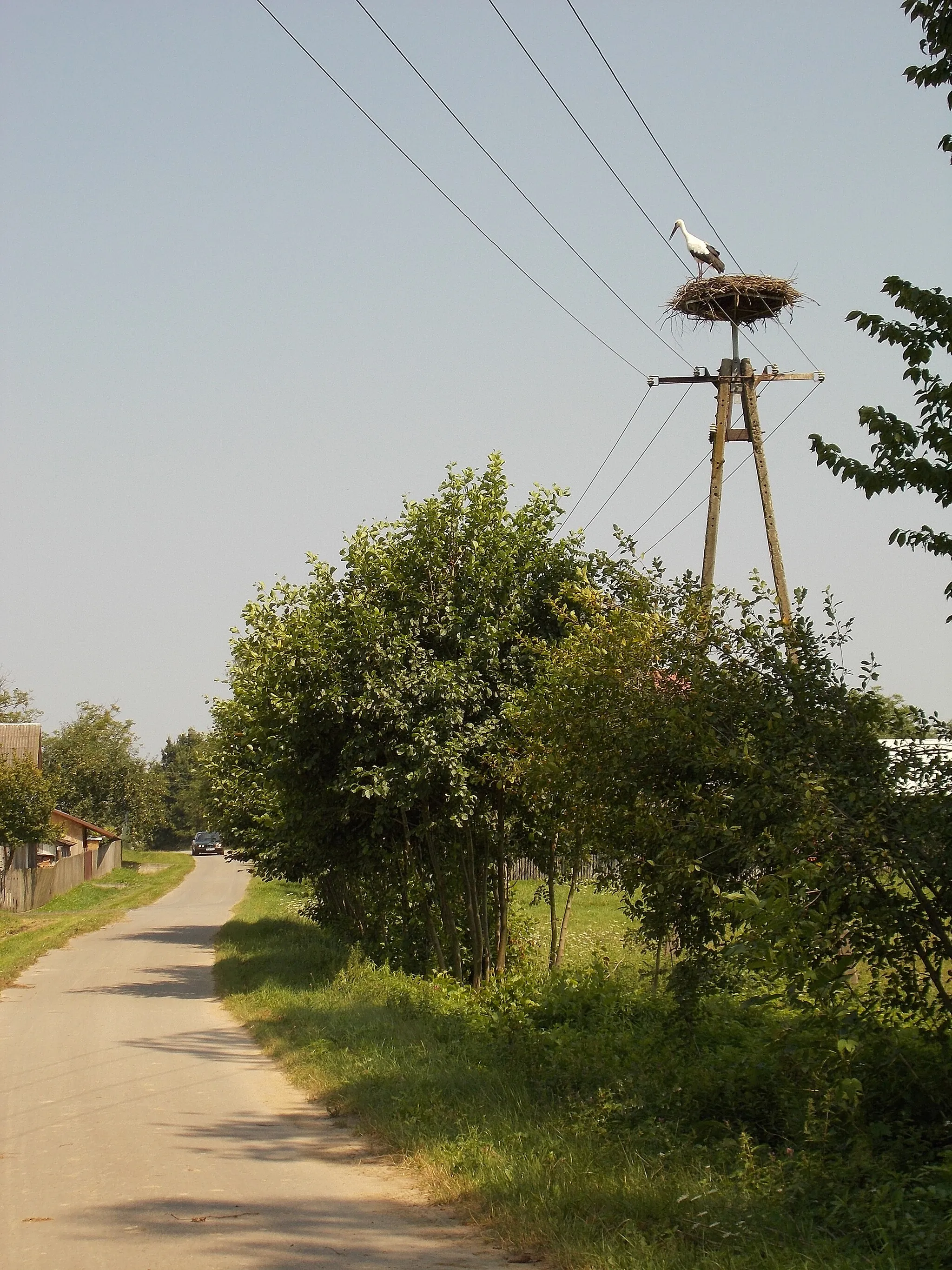 Photo showing: Bocianie gniazdo w miejscowości Kobylnica Wołoska