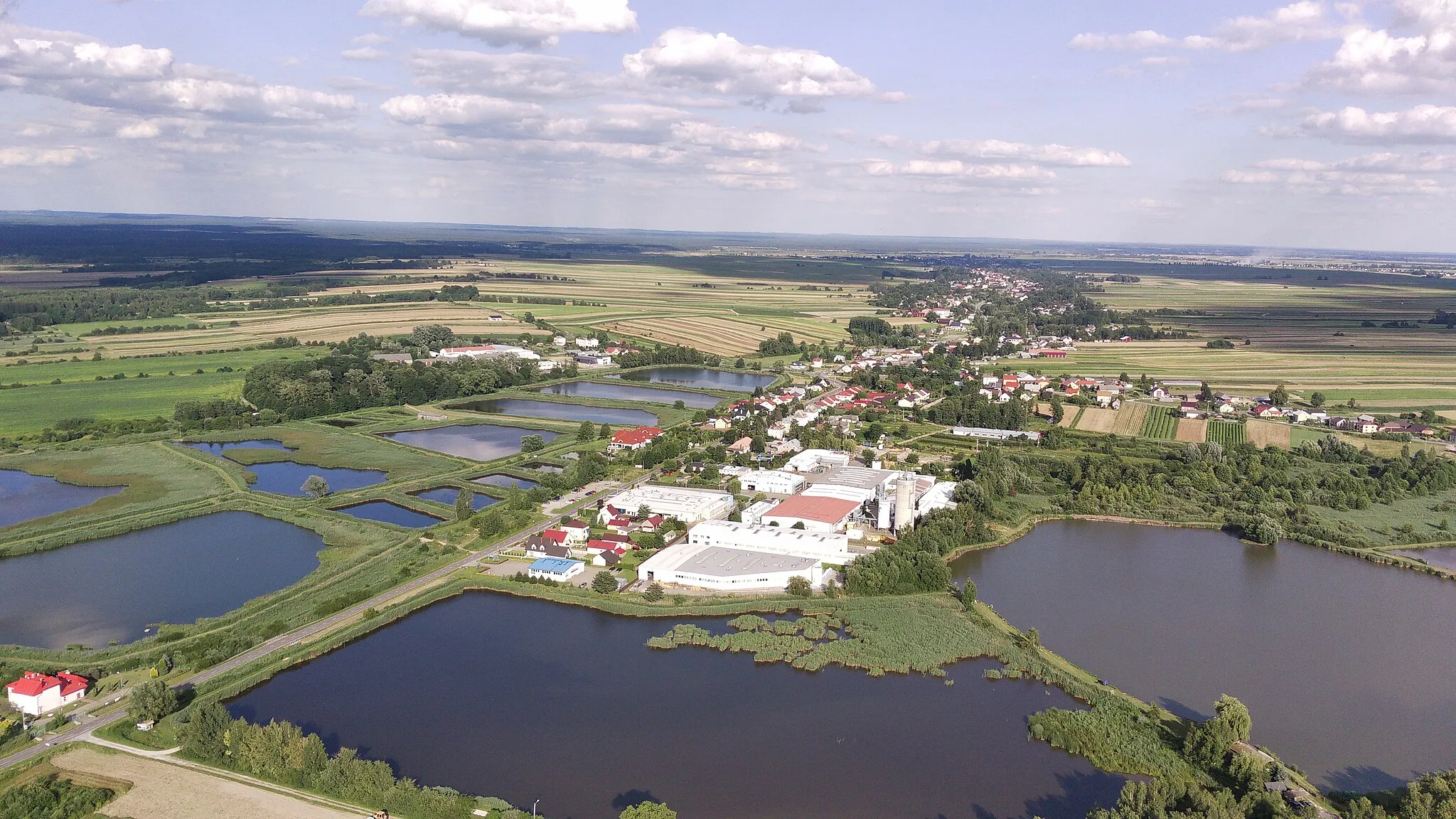 Photo showing: Chmielek z góry