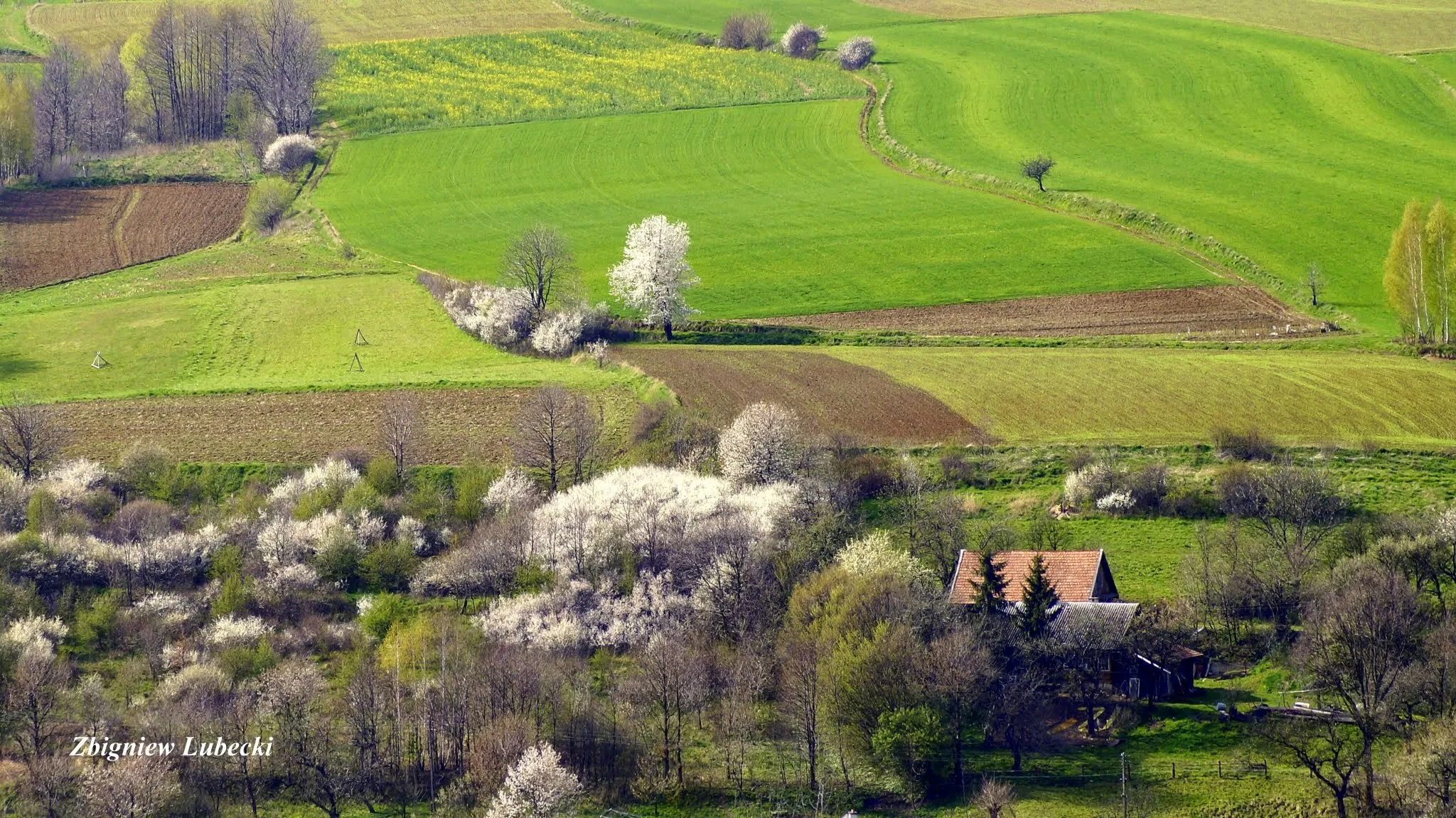 Photo showing: Błażowa Górna