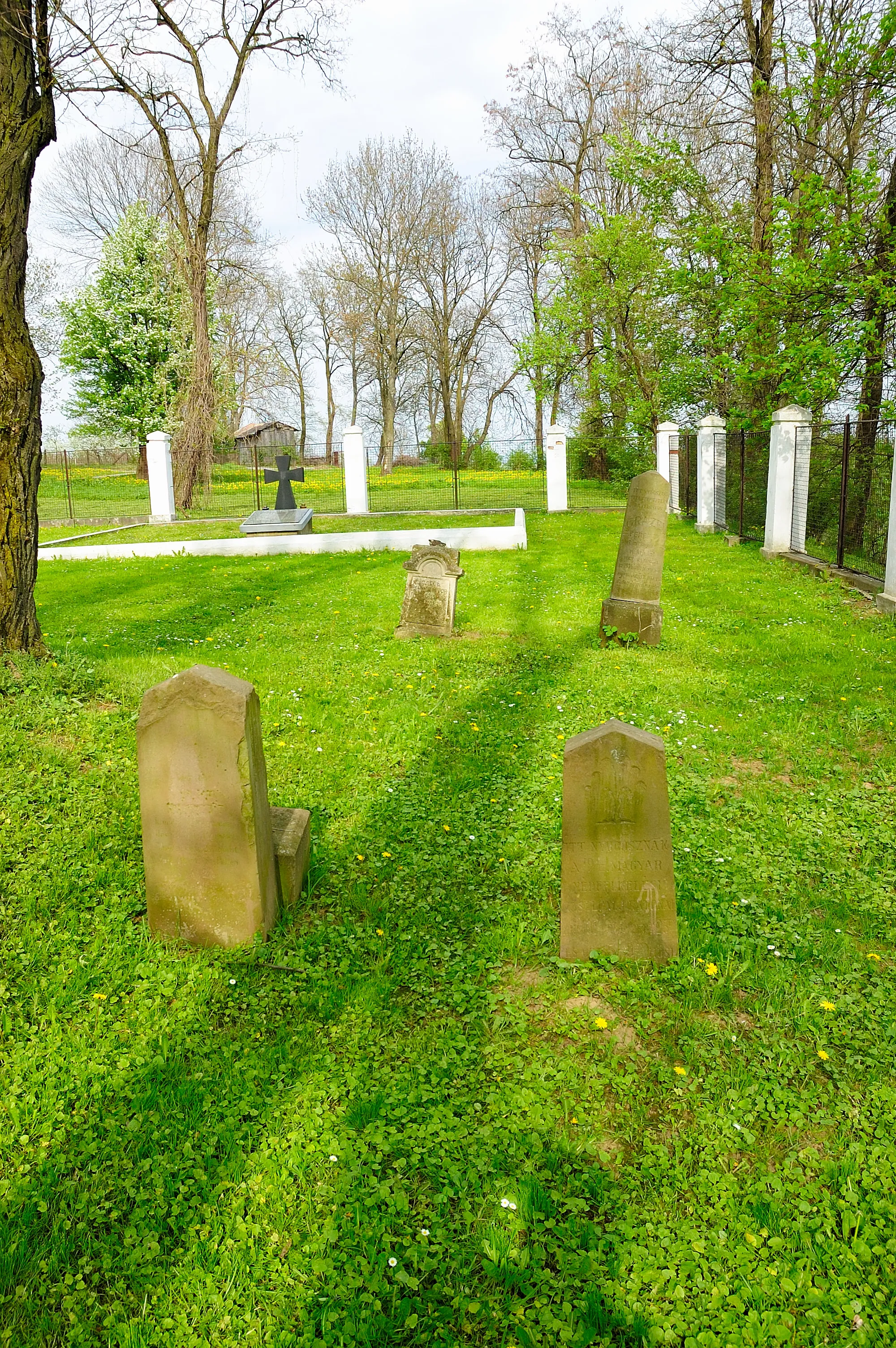 Photo showing: Ukrainian War Cemetery in Pikulice