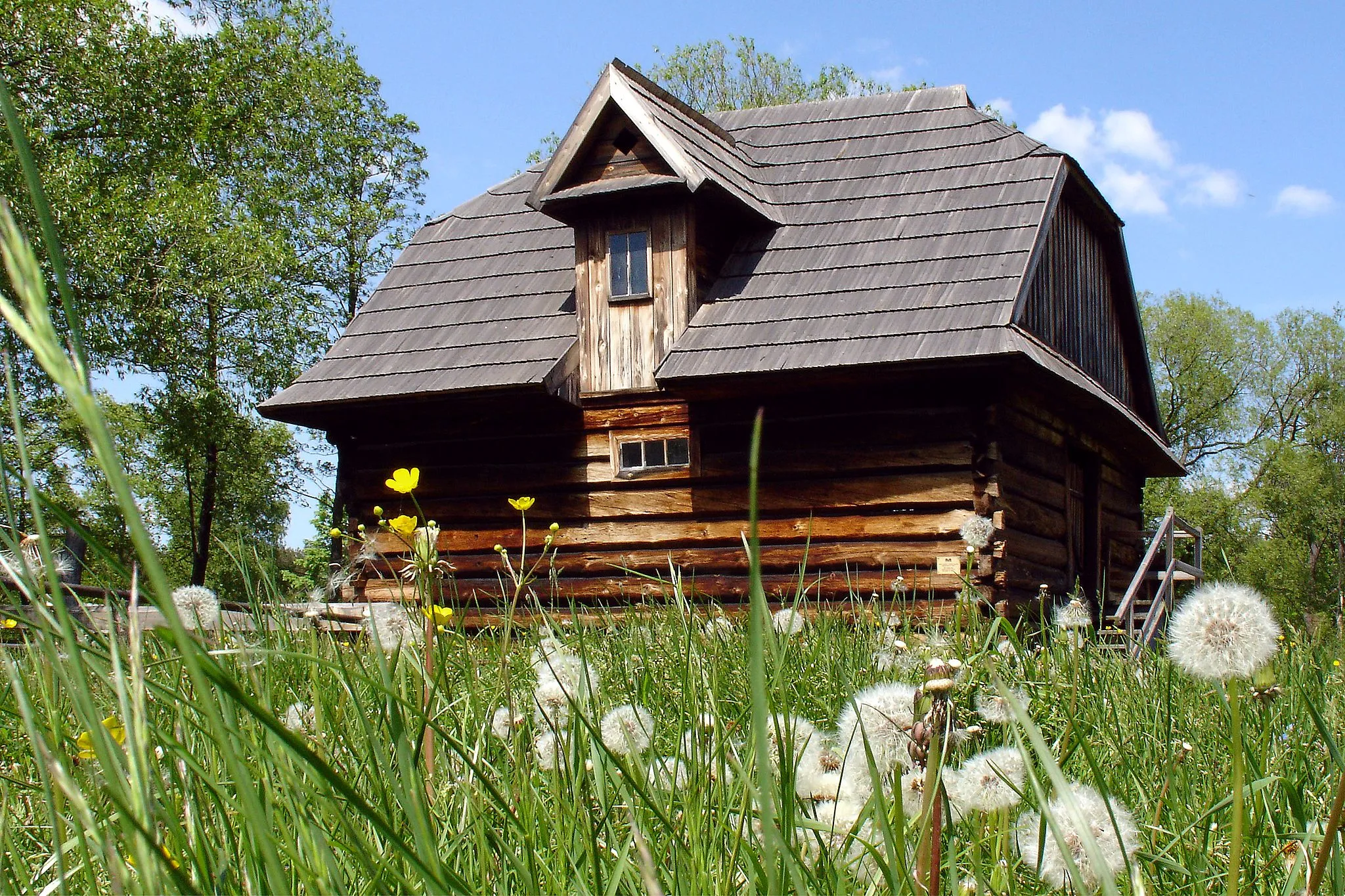 Photo showing: The water-mill from Żołynia