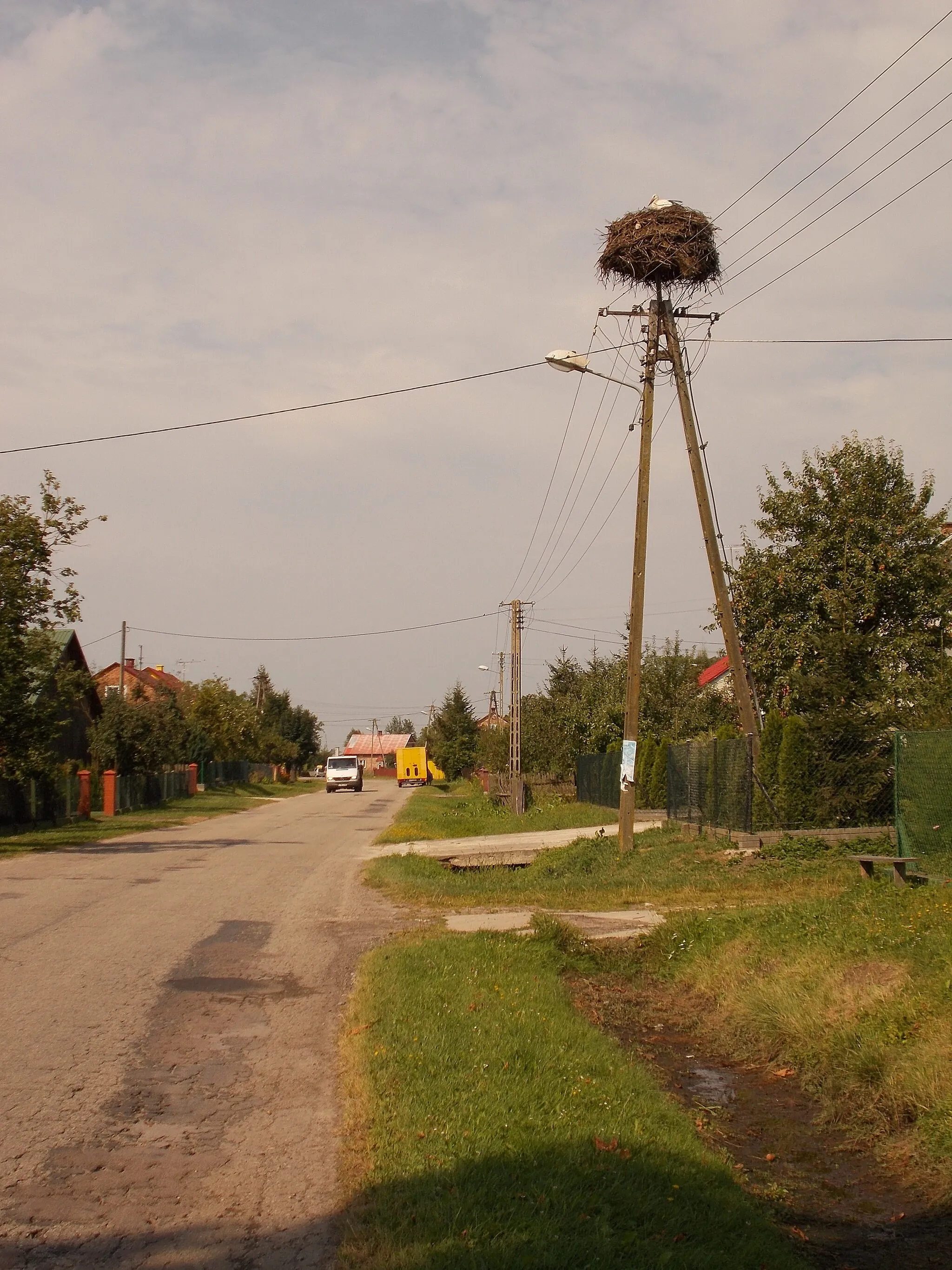 Photo showing: Bocianie gniazdo w miejscowości Żuków