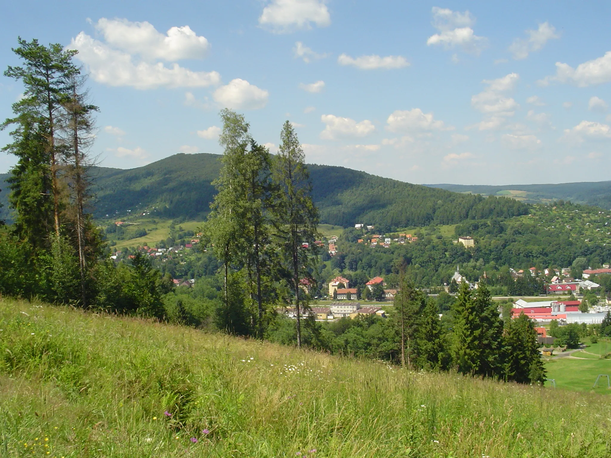 Photo showing: Ustrzyki Dolne, Panorama z Gromadzynia, Lato