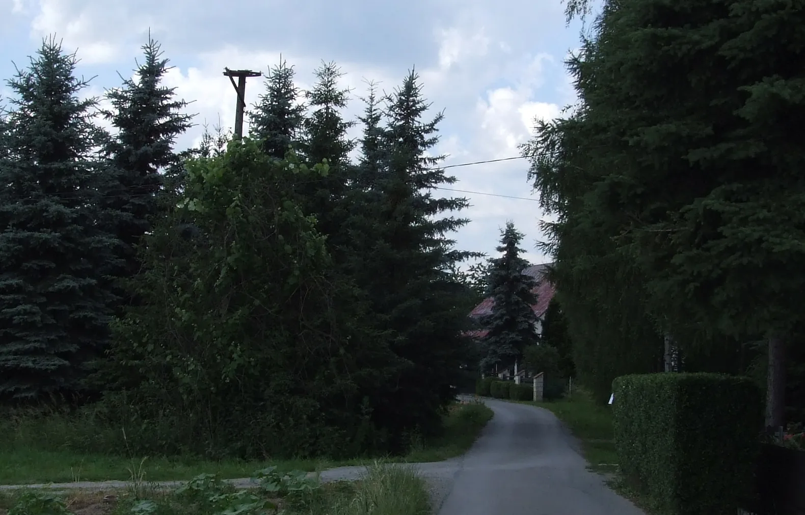 Photo showing: Broken platform for stork nest in Wysoka