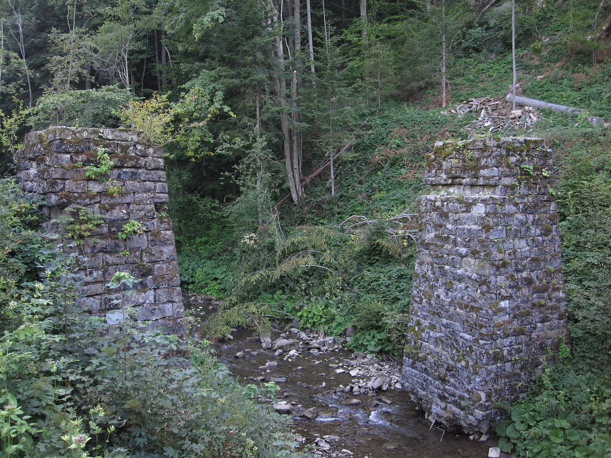 Photo showing: The supports of the old bridge in the village Tarnawa Niżna