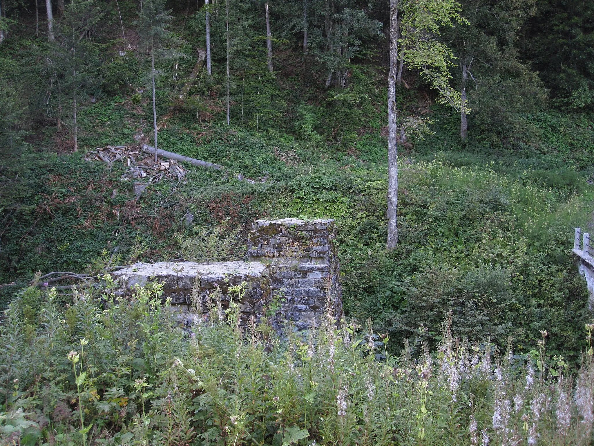 Photo showing: The supports of the old bridge in the village Tarnawa Niżna