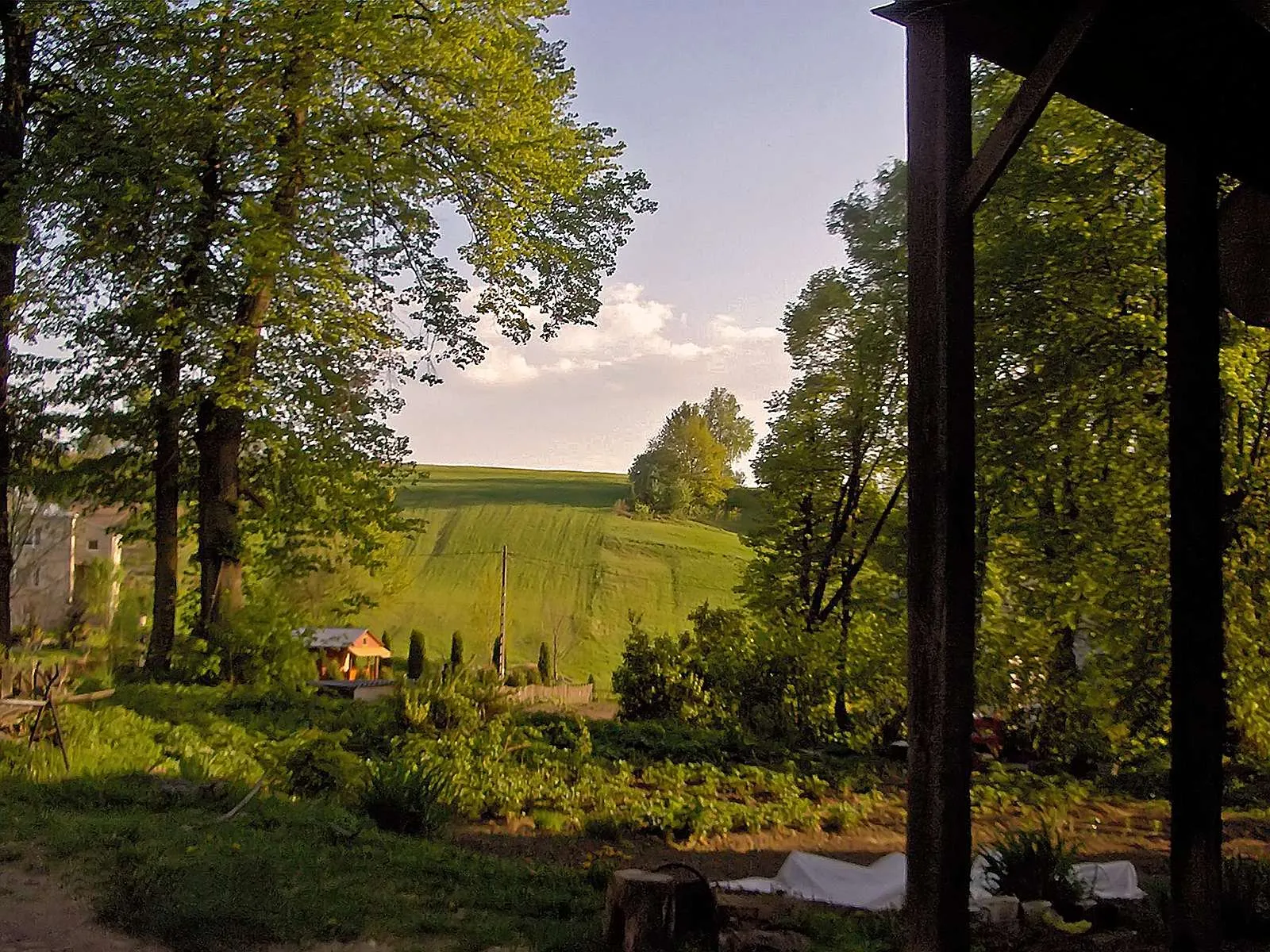 Photo showing: Grabownica Starzeńska - country in Podkarpacie Voivodship