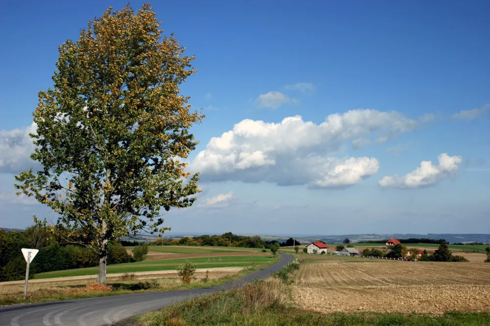 Photo showing: Okolice Niedźwiady