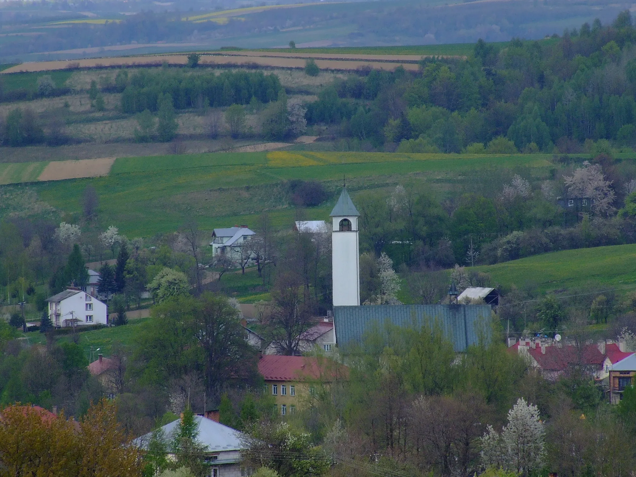 Photo showing: Kąkolówka, general view with church.