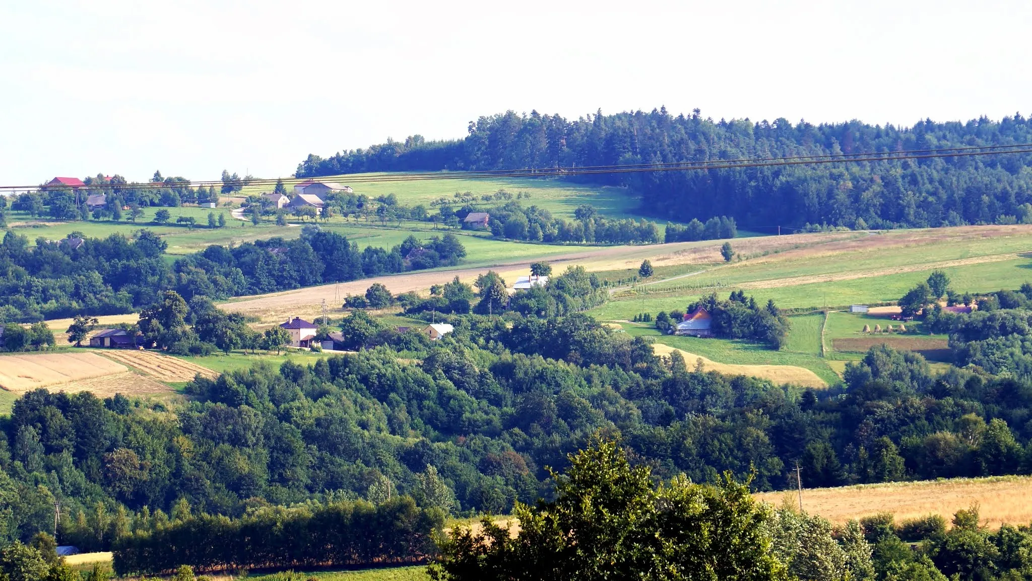 Photo showing: Białka - "Podlas" od strony Lecki