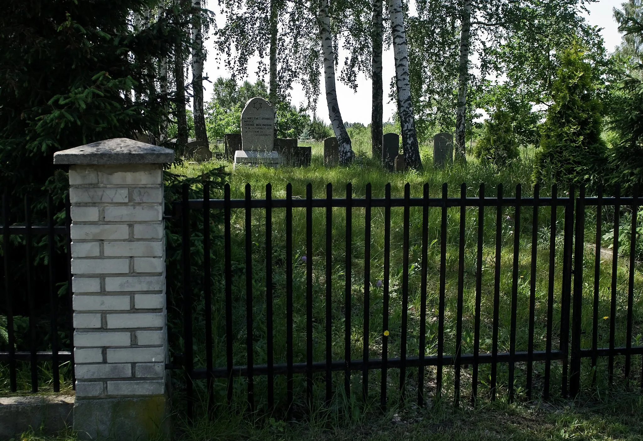 Photo showing: Jewish cemetery in Żołynia