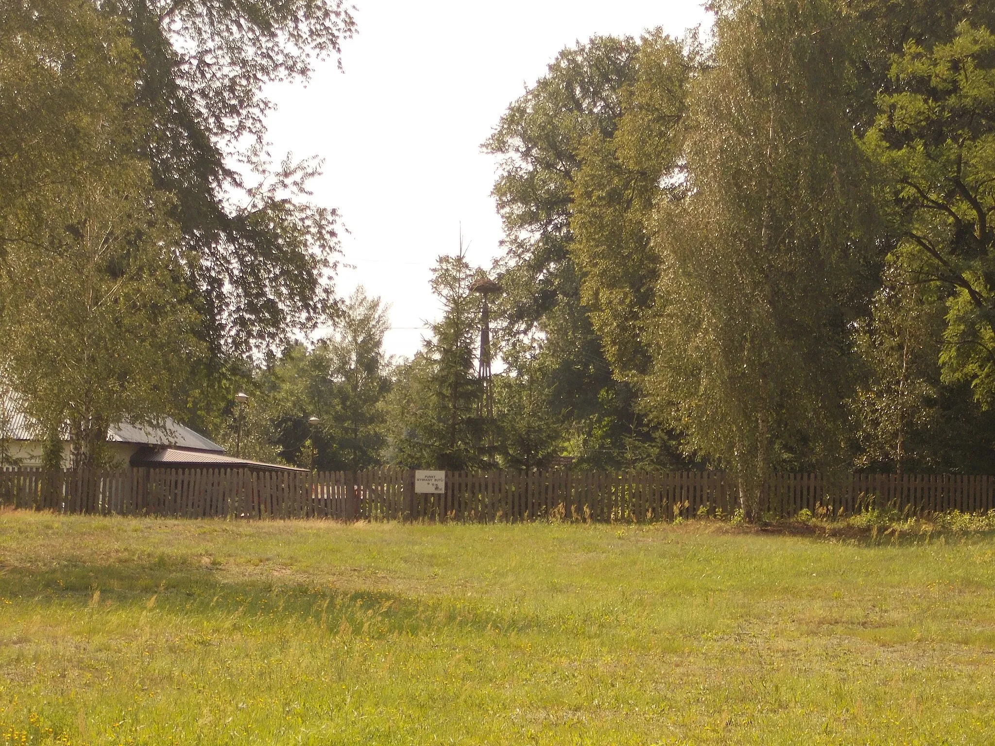 Photo showing: Bocianie gniazdo w miejscowości Wólka Zapałowska
