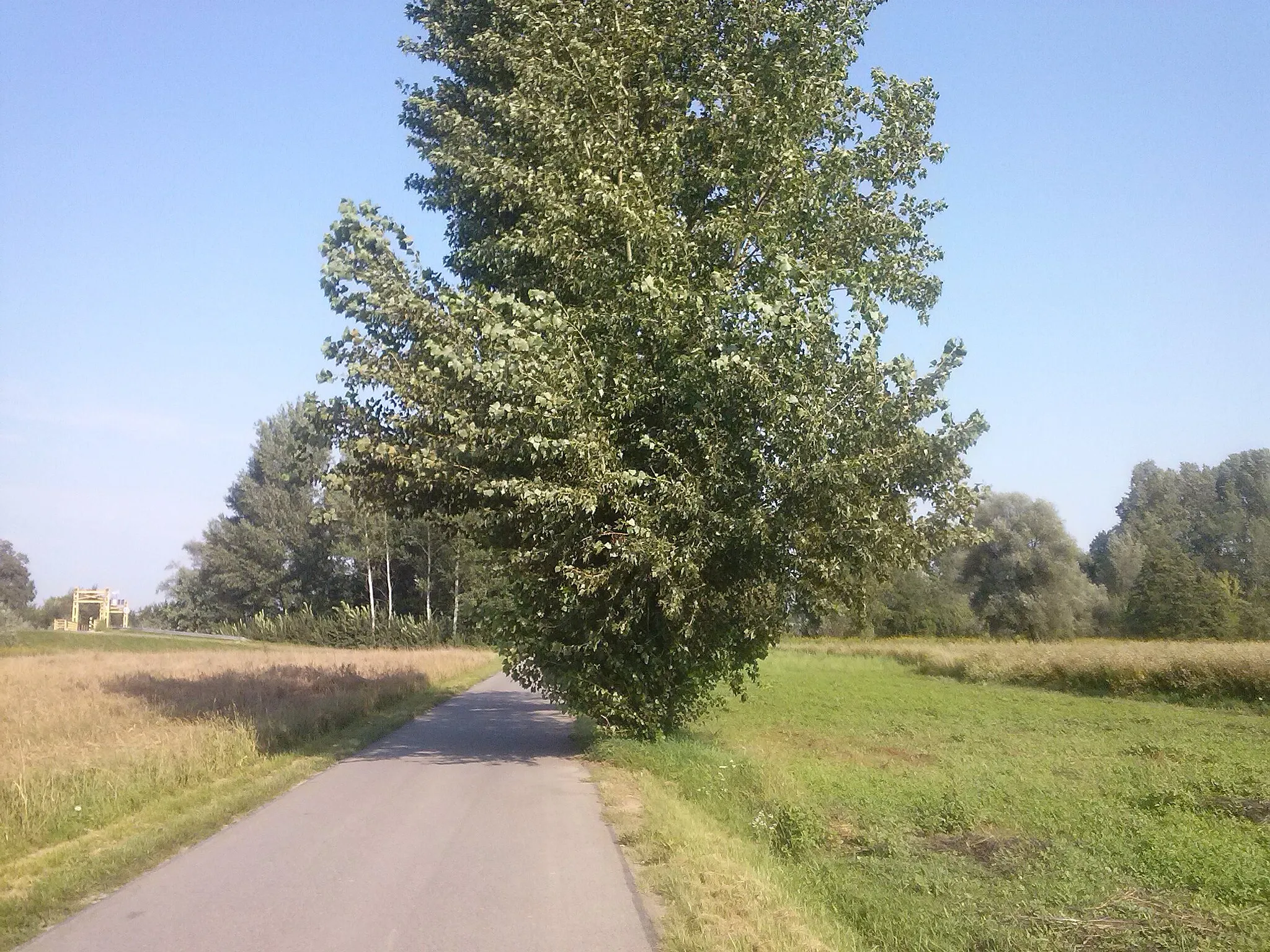 Photo showing: Droga z Wólki Małkowej do Chodaczowa