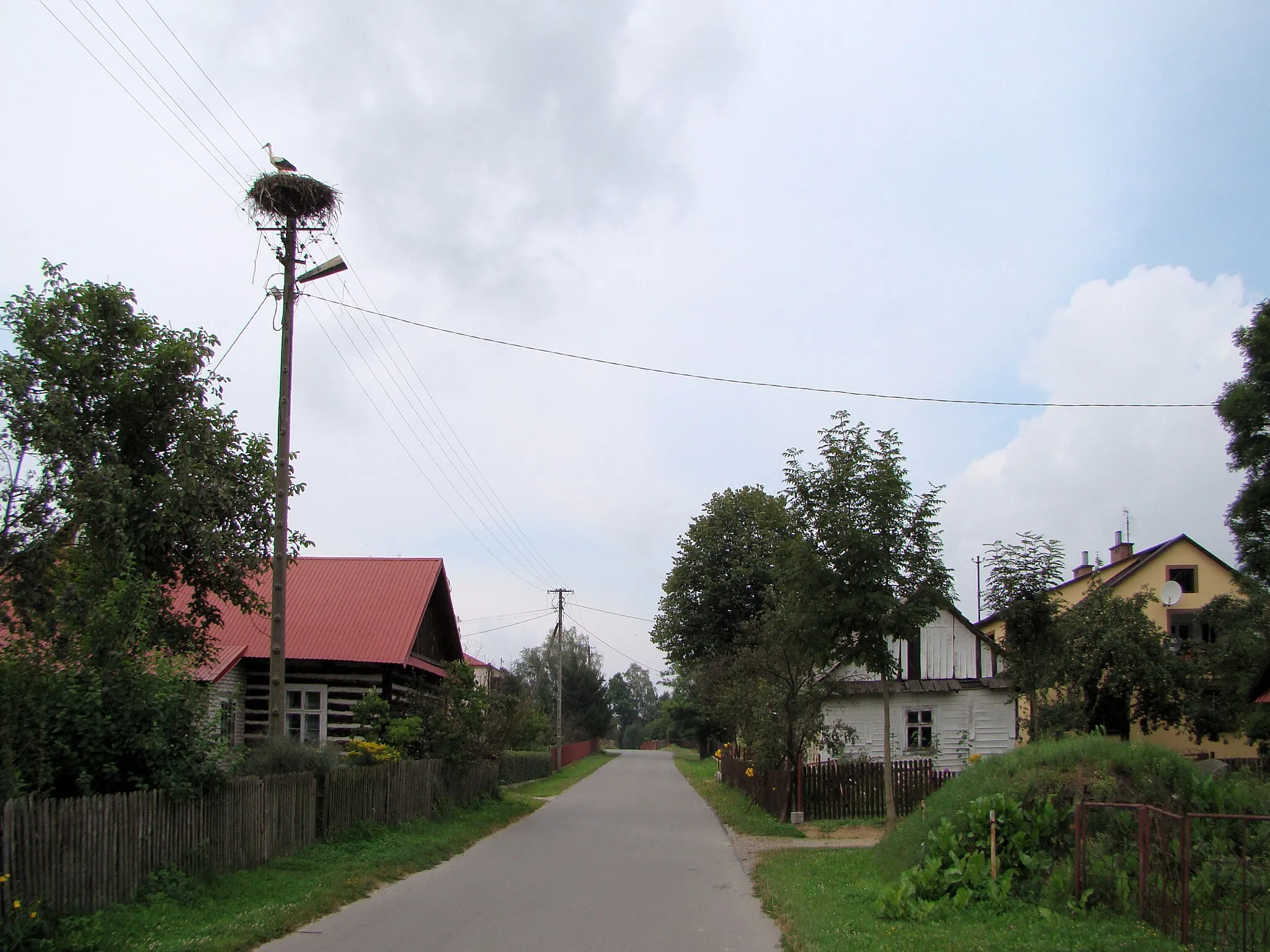 Photo showing: Wola Raniżowska i Zielonka - droga przez miejscowość oraz bocianie gniazdo