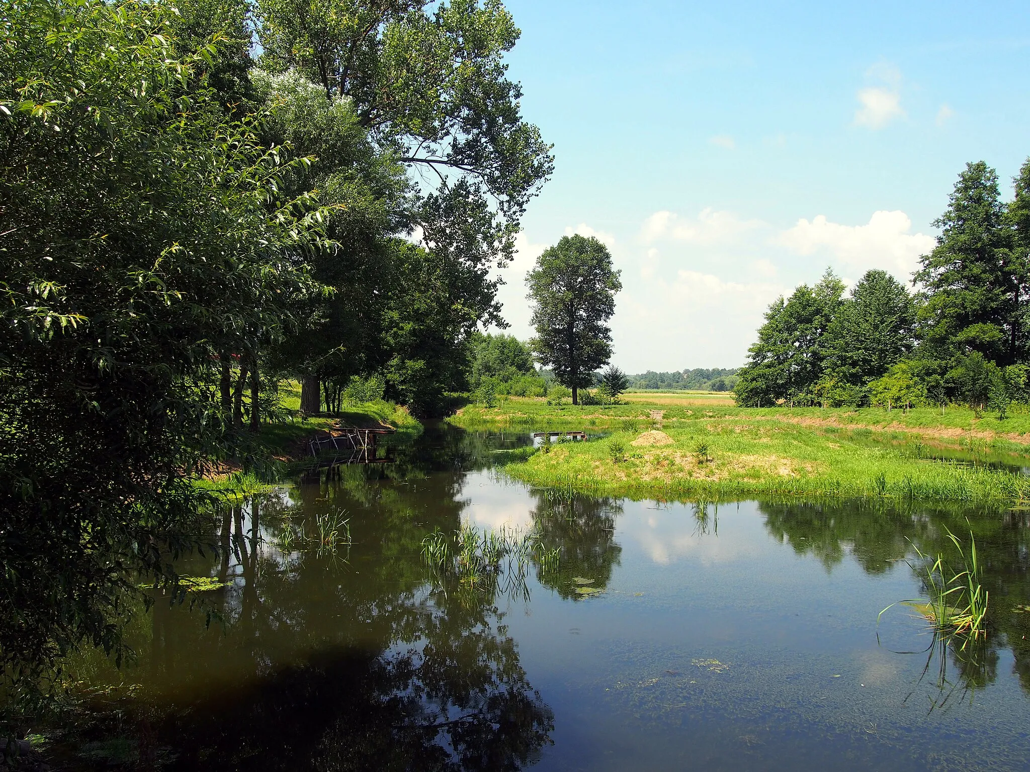 Photo showing: Pond on the Kacanka river in Wiśniowa, village in powiat staszowski, Świętokrzyskie Voivodeship, Poland. Backwaters on the channel supplying water to the old mill.