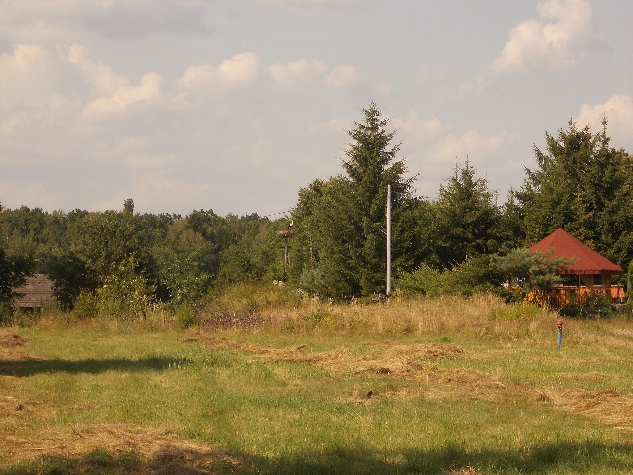 Photo showing: Bocianie gniazdo w miejscowości Tymce 49
