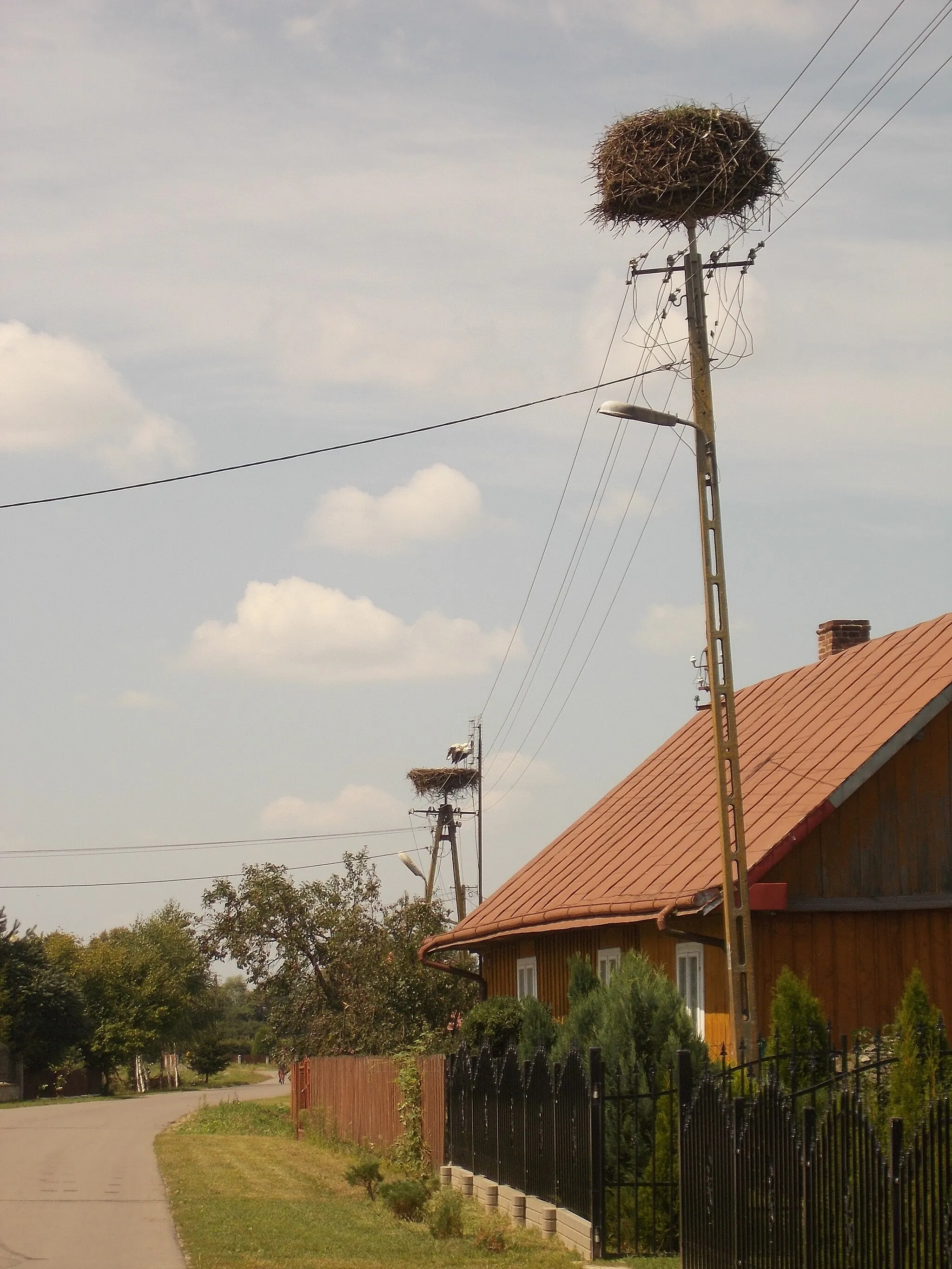 Photo showing: Bocianie gniazdo w miejscowości Tuchla