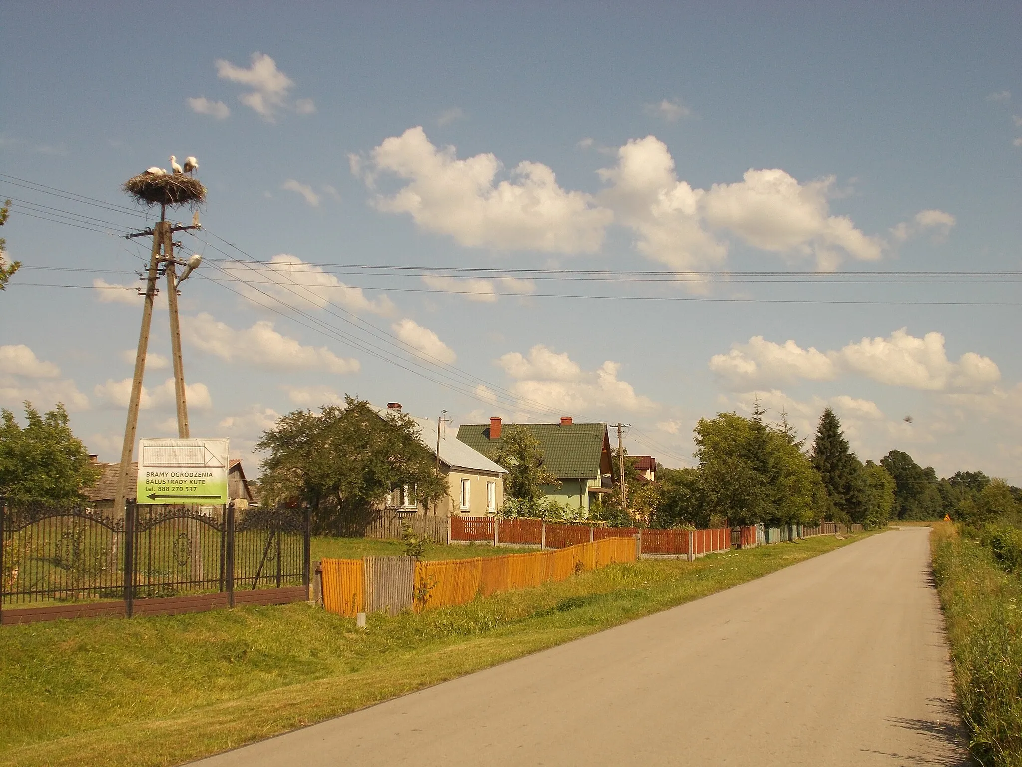 Photo showing: Bocianie gniazdo w miejscowości Łukawiec