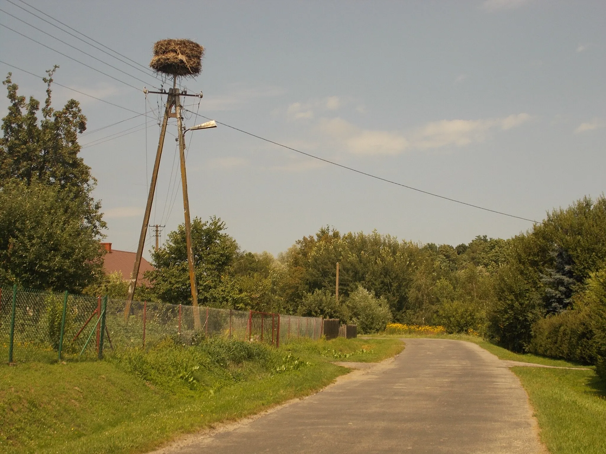 Photo showing: Bocianie gniazdo w miejscowości Stare Sioło (1)