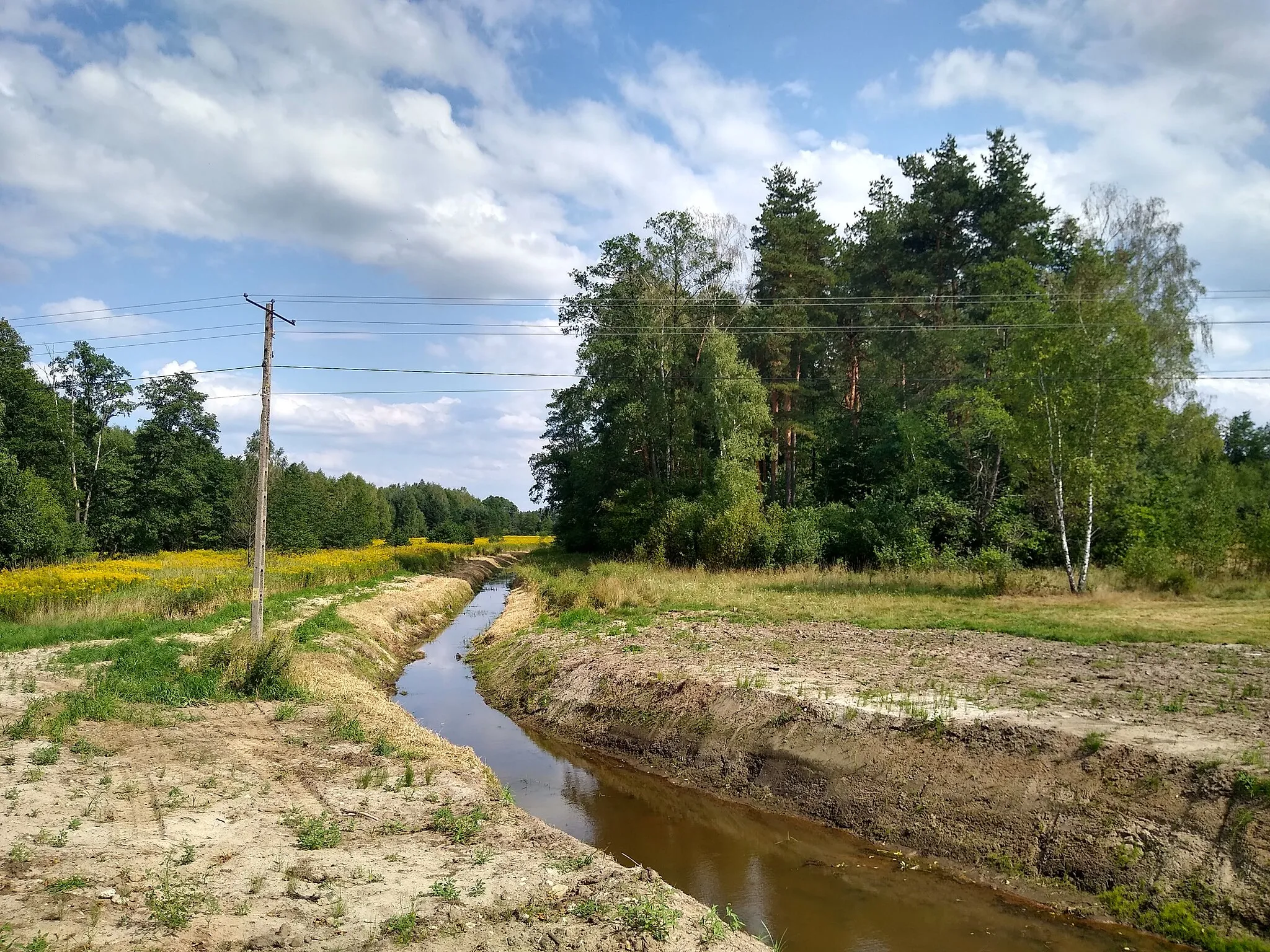 Photo showing: Świerczówka w Siedlance