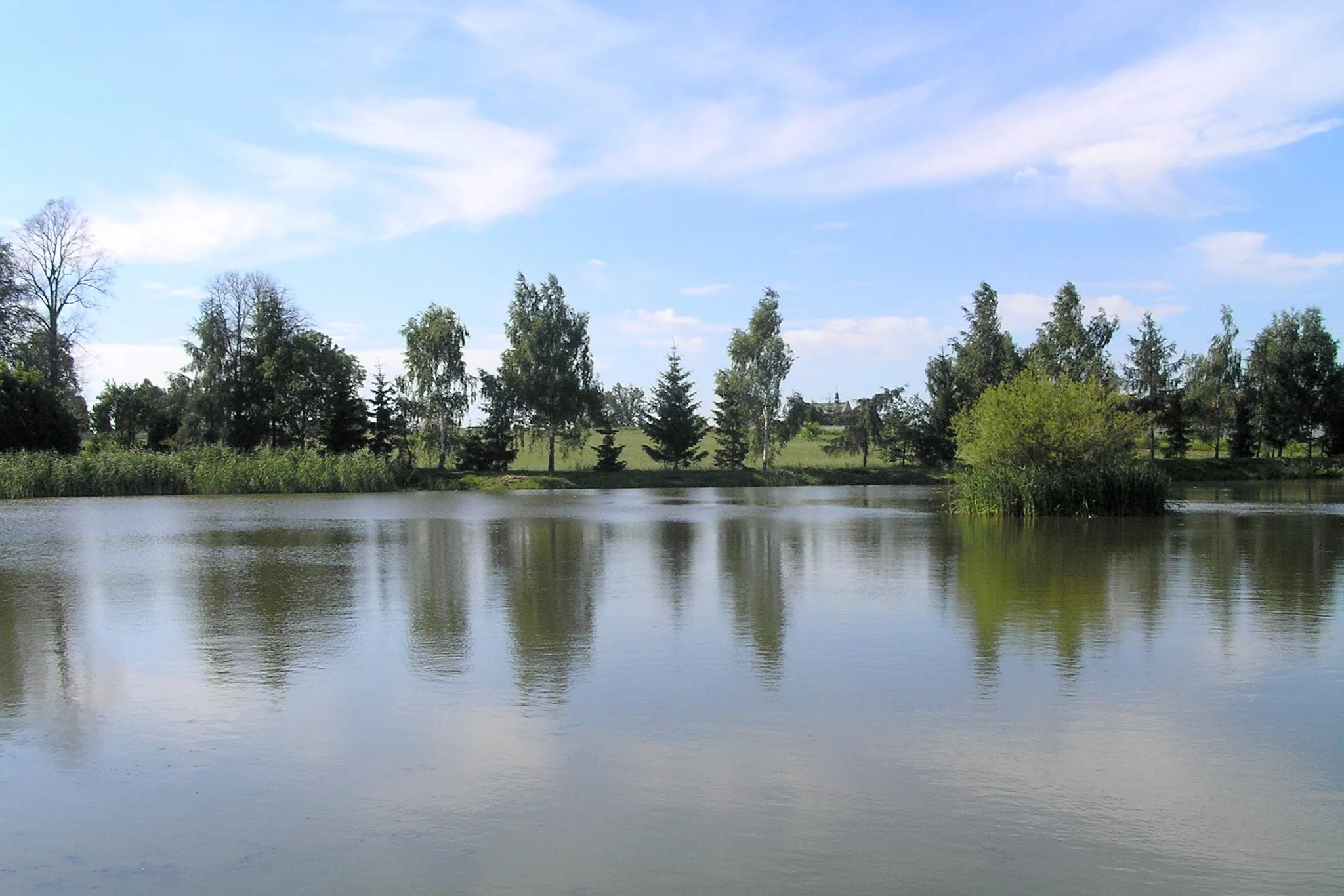Photo showing: Skrzynczyna Pond, Sędziszów Małopolski, Poland
