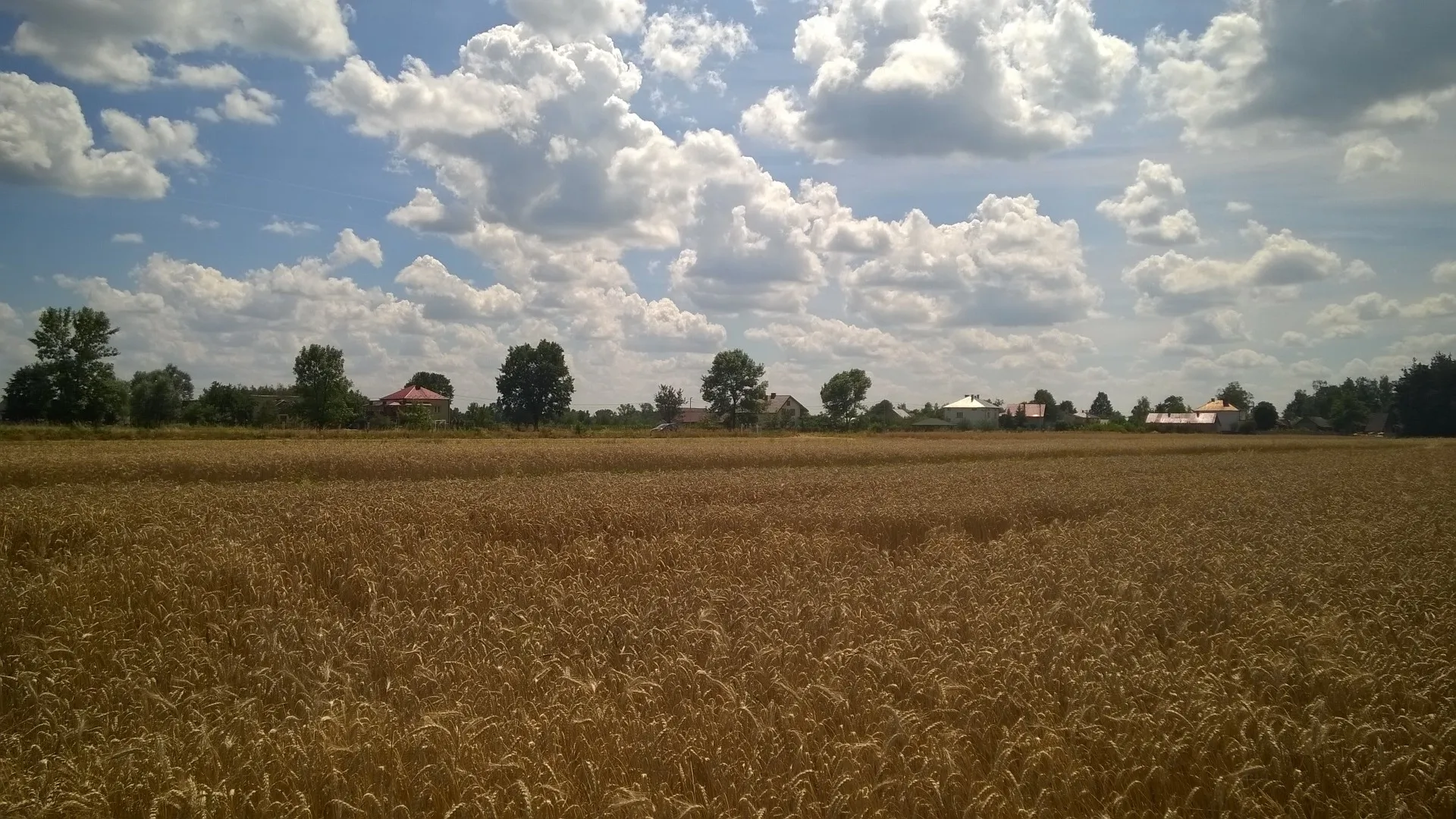Photo showing: okolice Piechot