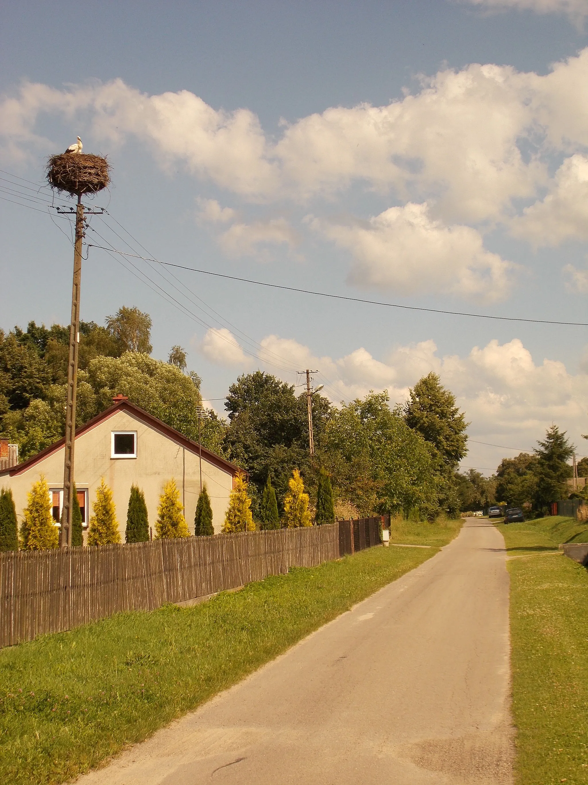 Photo showing: Bocianie gniazdo w miejscowości Majdan Lipowiecki