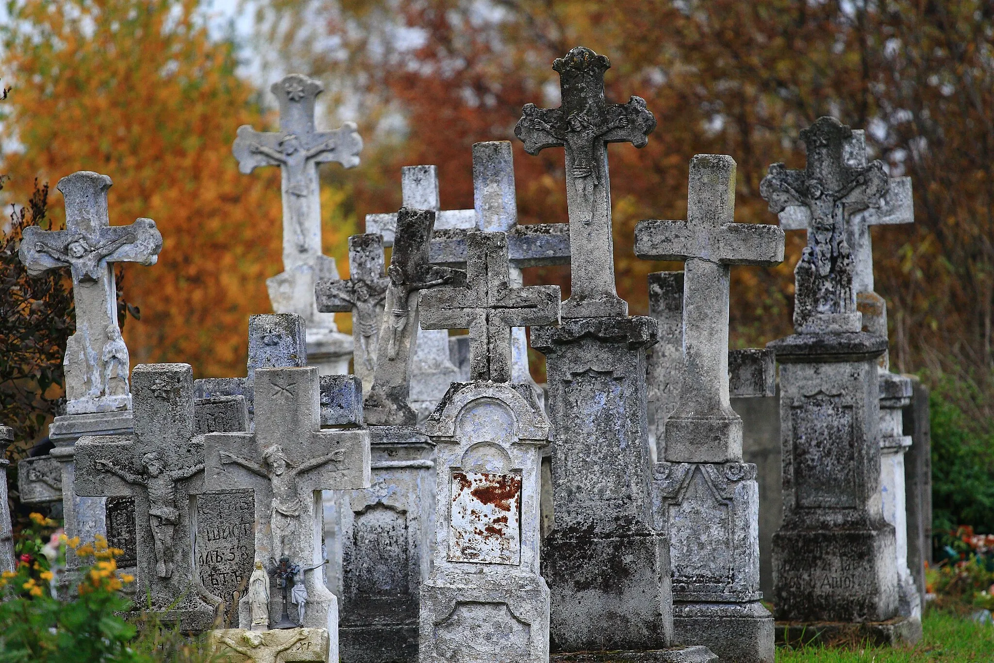 Photo showing: Fragment starego cmentarza komunalnego w Lubaczowie