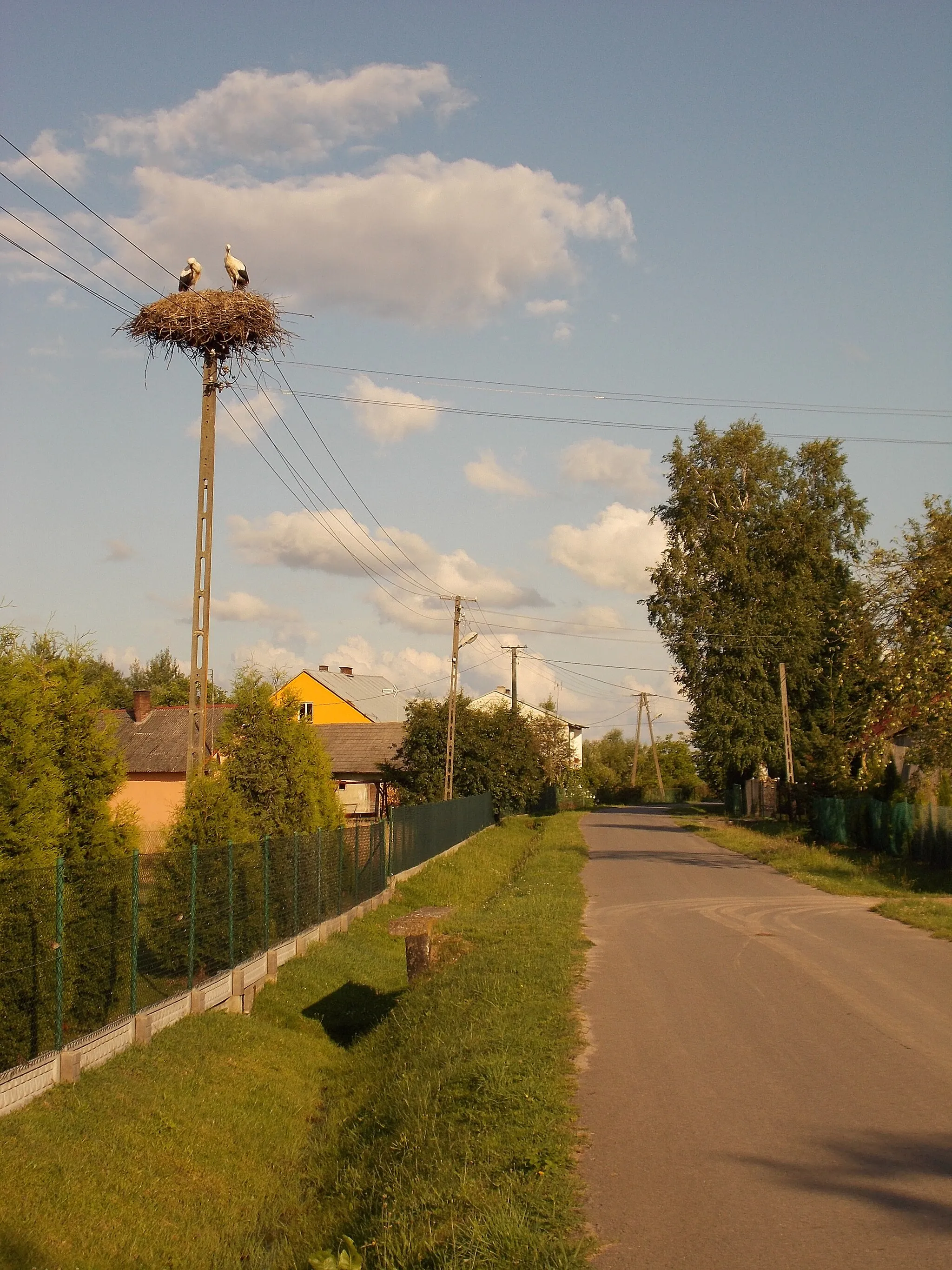 Photo showing: Lisie Jamy, ul. Smolińce 37 - bocianie gniazdo