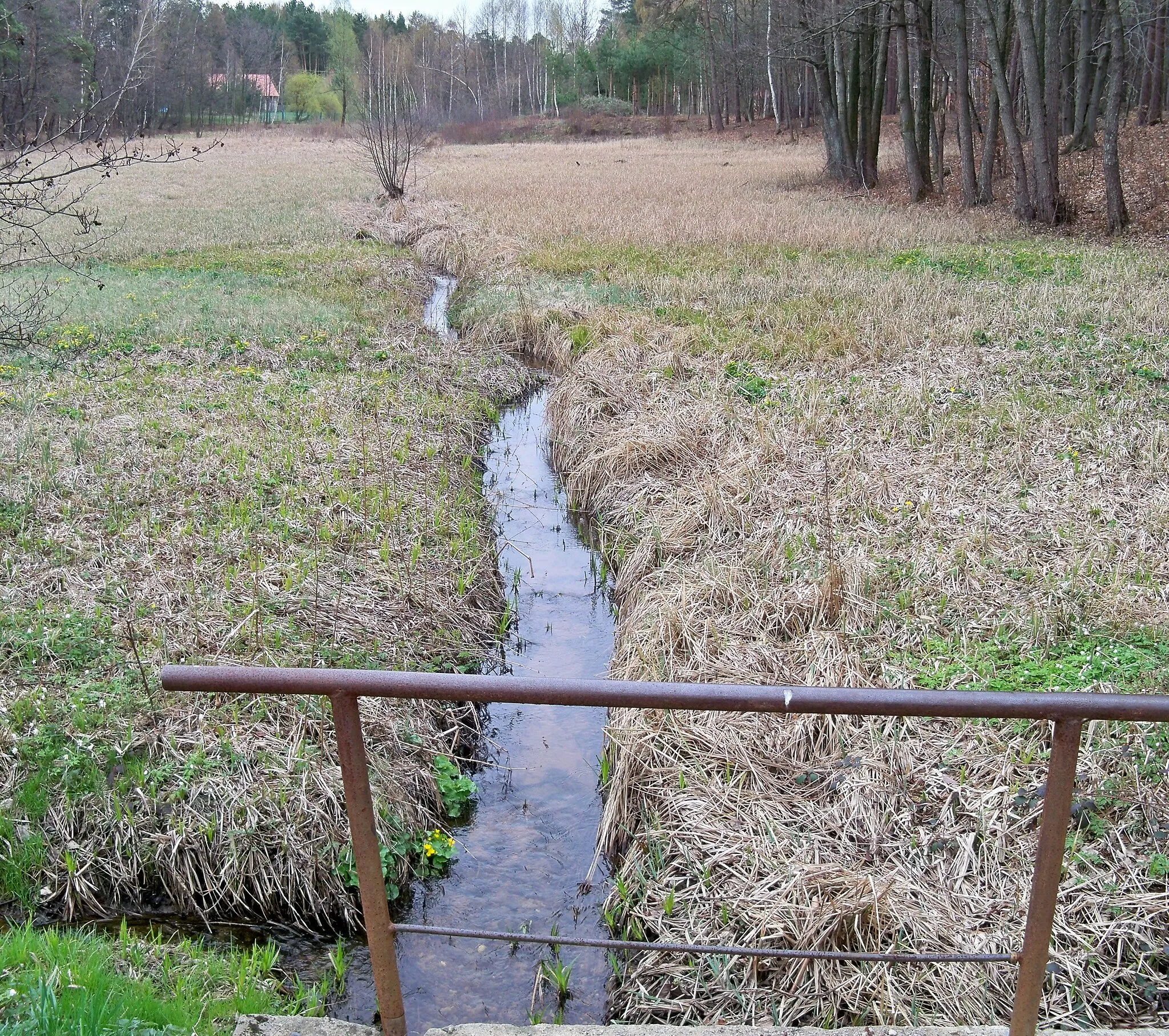 Photo showing: Potok Olechowiec na Kątach Rakszawskich