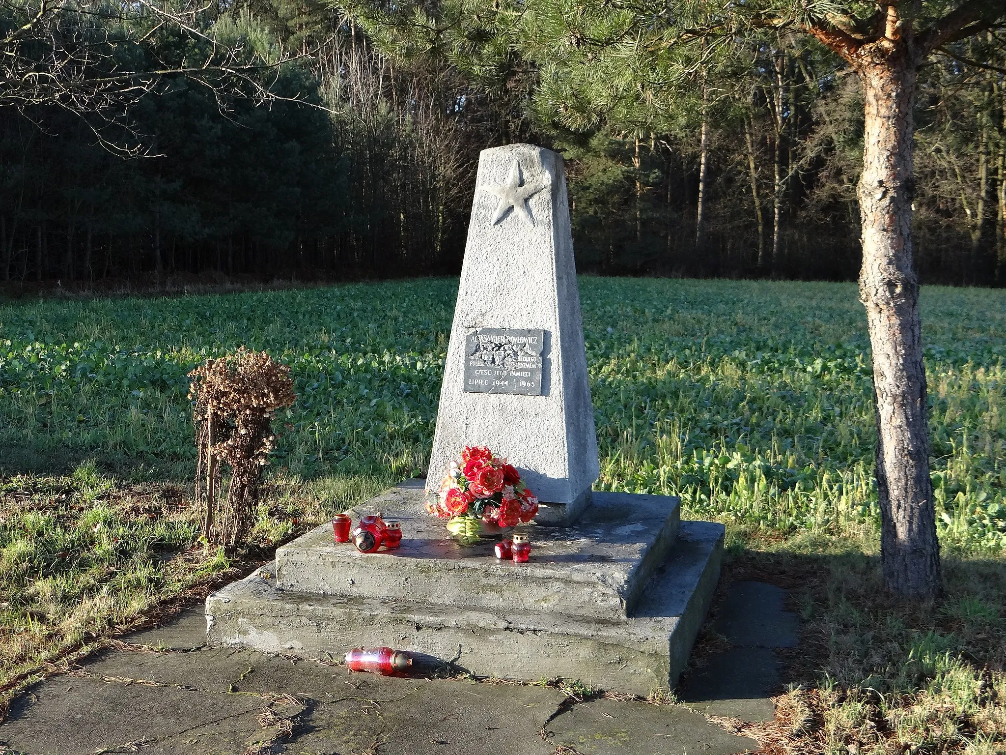 Photo showing: Pomnik poświęcony Aleksandrowi Pawłowiczowi. Tekst na tablicy: Bohater Związku Radzieckiego, poległ w walce z faszyzmem