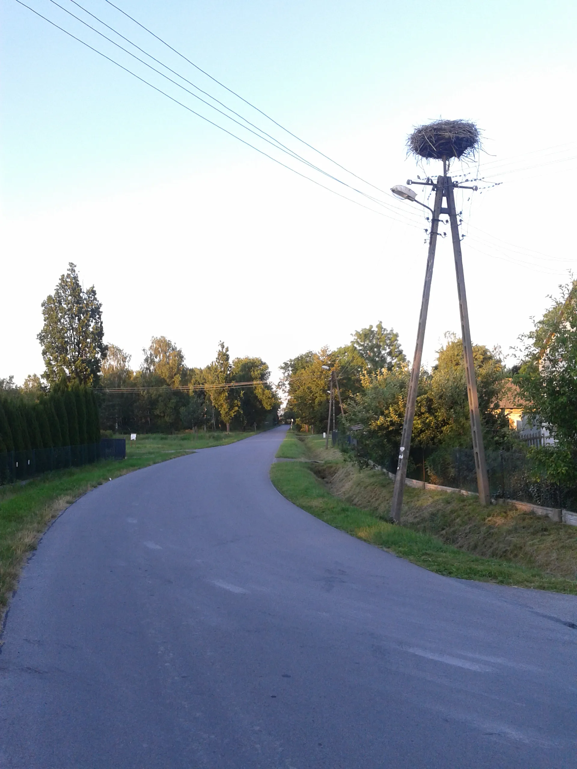 Photo showing: Bocianie gniazdo położone przy głównej drodze w miejscowości Hurcze 7