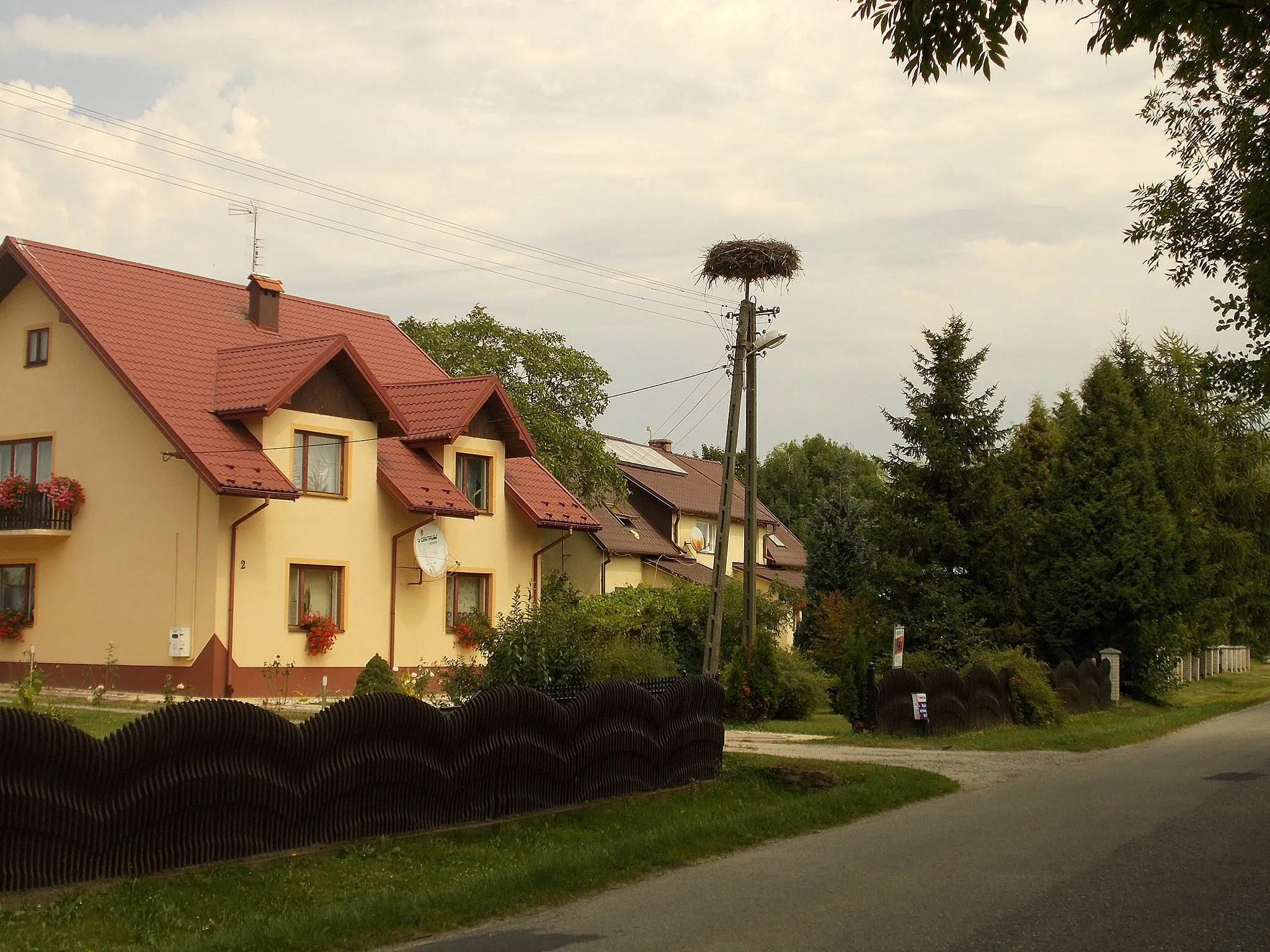 Photo showing: Bocianie gniazdo w miejscowości Nowy Dzików