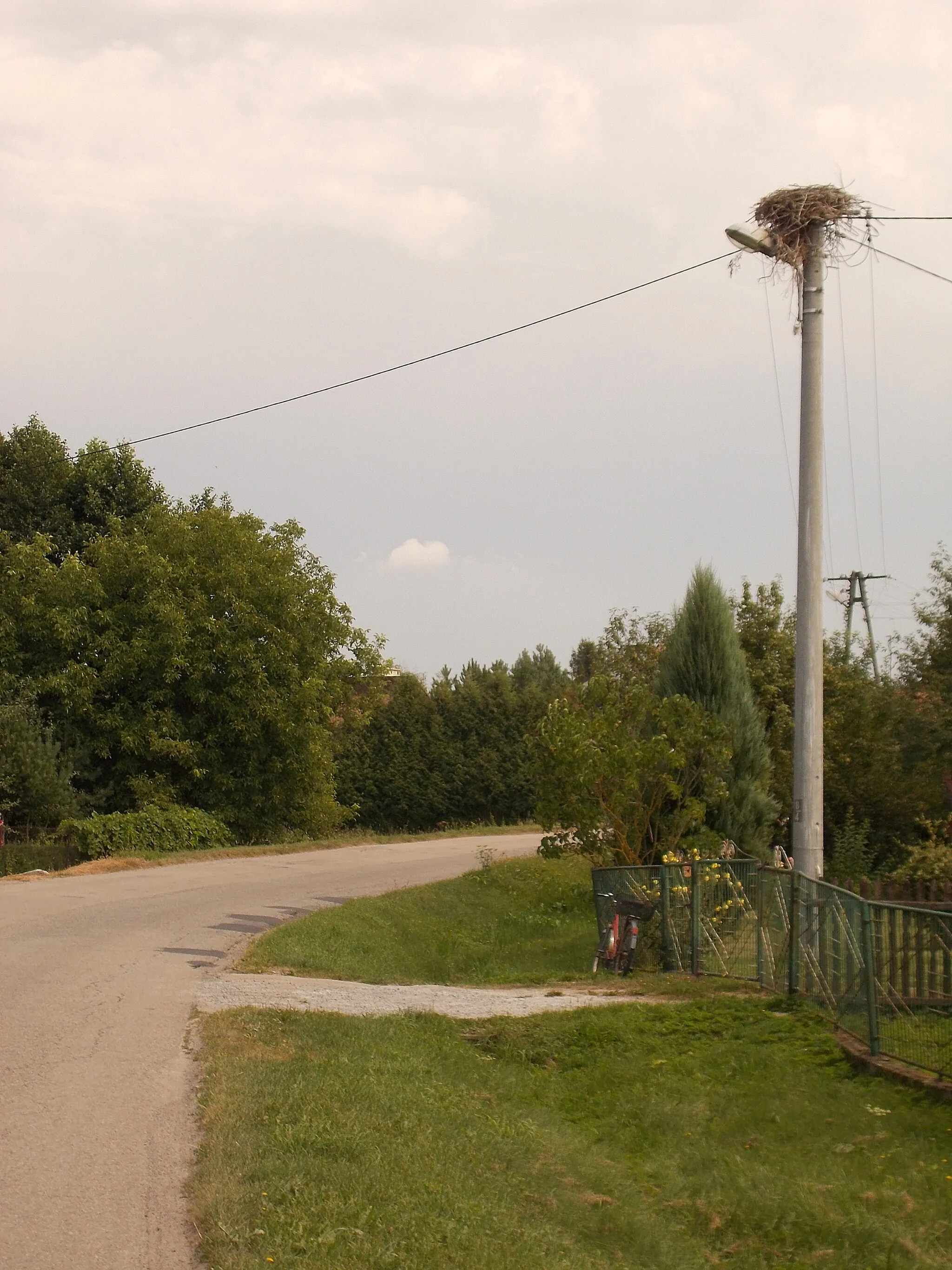 Photo showing: Bocianie gniazdo w miejscowości Nowy Dzików