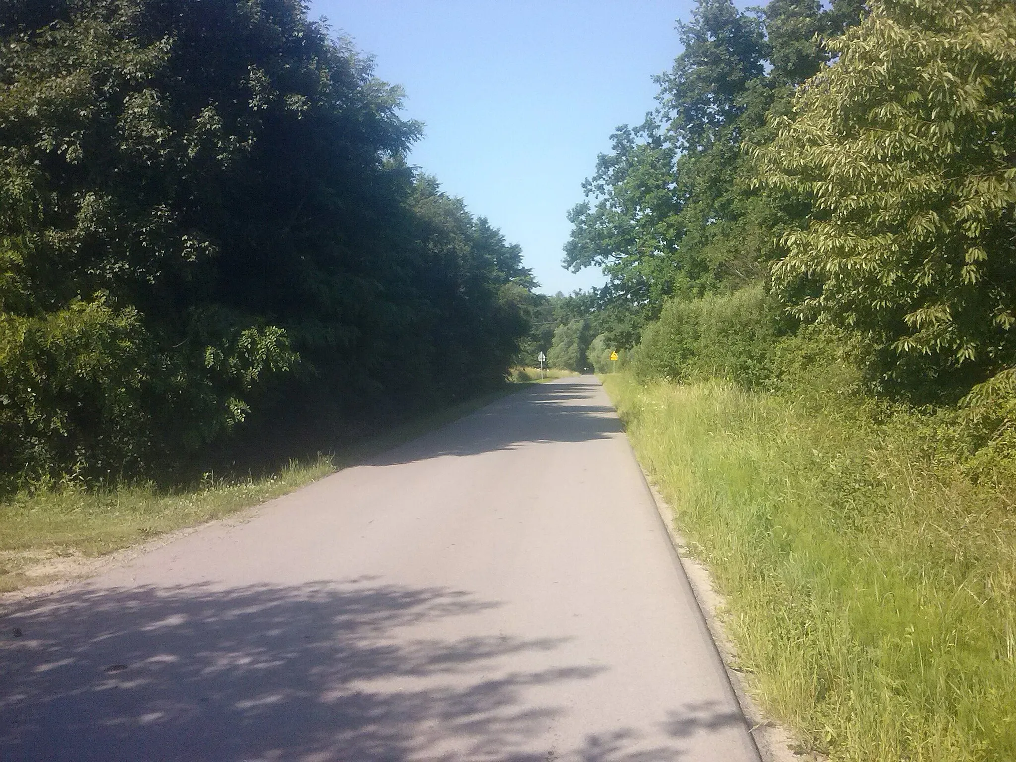 Photo showing: Droga z Czerc w kierunku lasu "Głażyna" i Leżachowa
