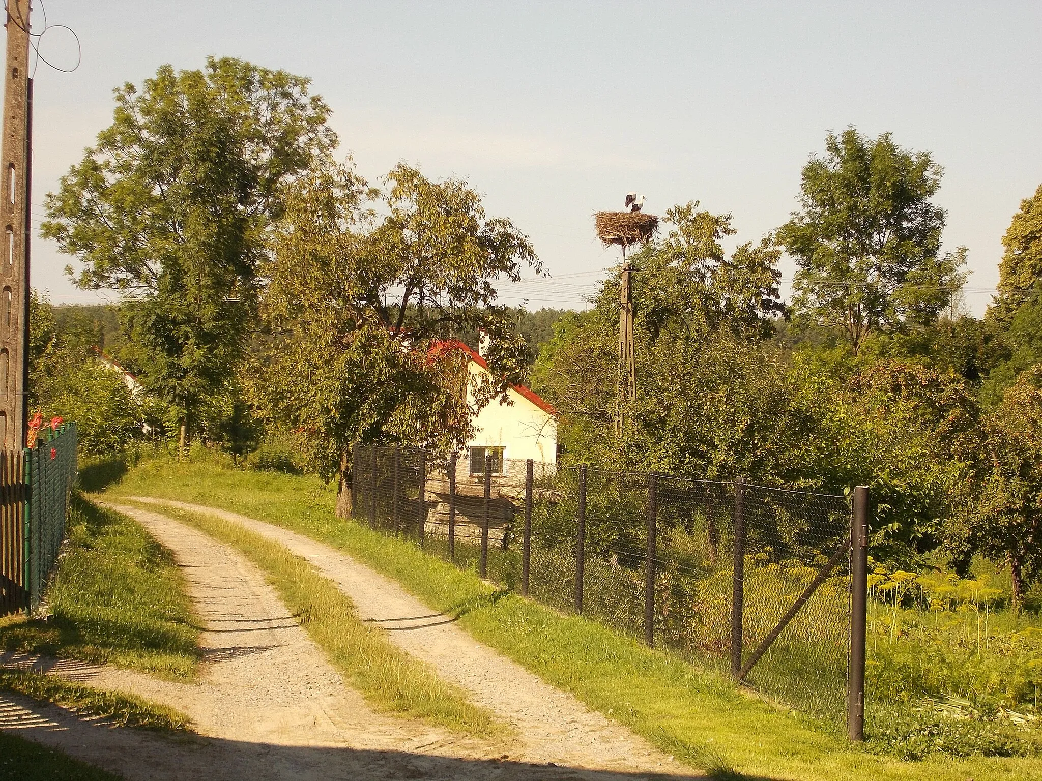 Photo showing: Bocianie gniazdo w miejscowości Krowica Hołodowska 165