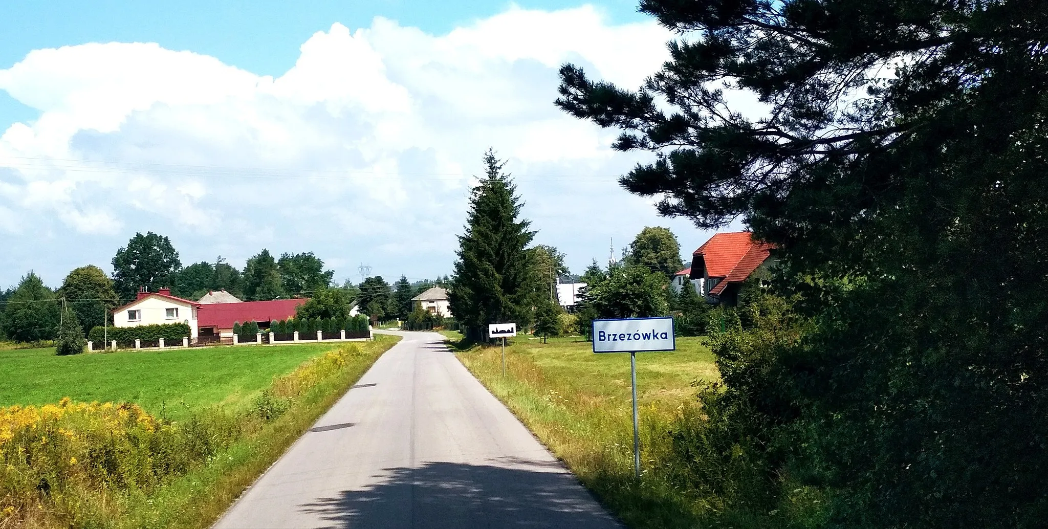 Photo showing: BRZEZÓWKA (gmina Kolbuszowa, sołectwo Domatków)wjazd do wsi od strony Przedborza.