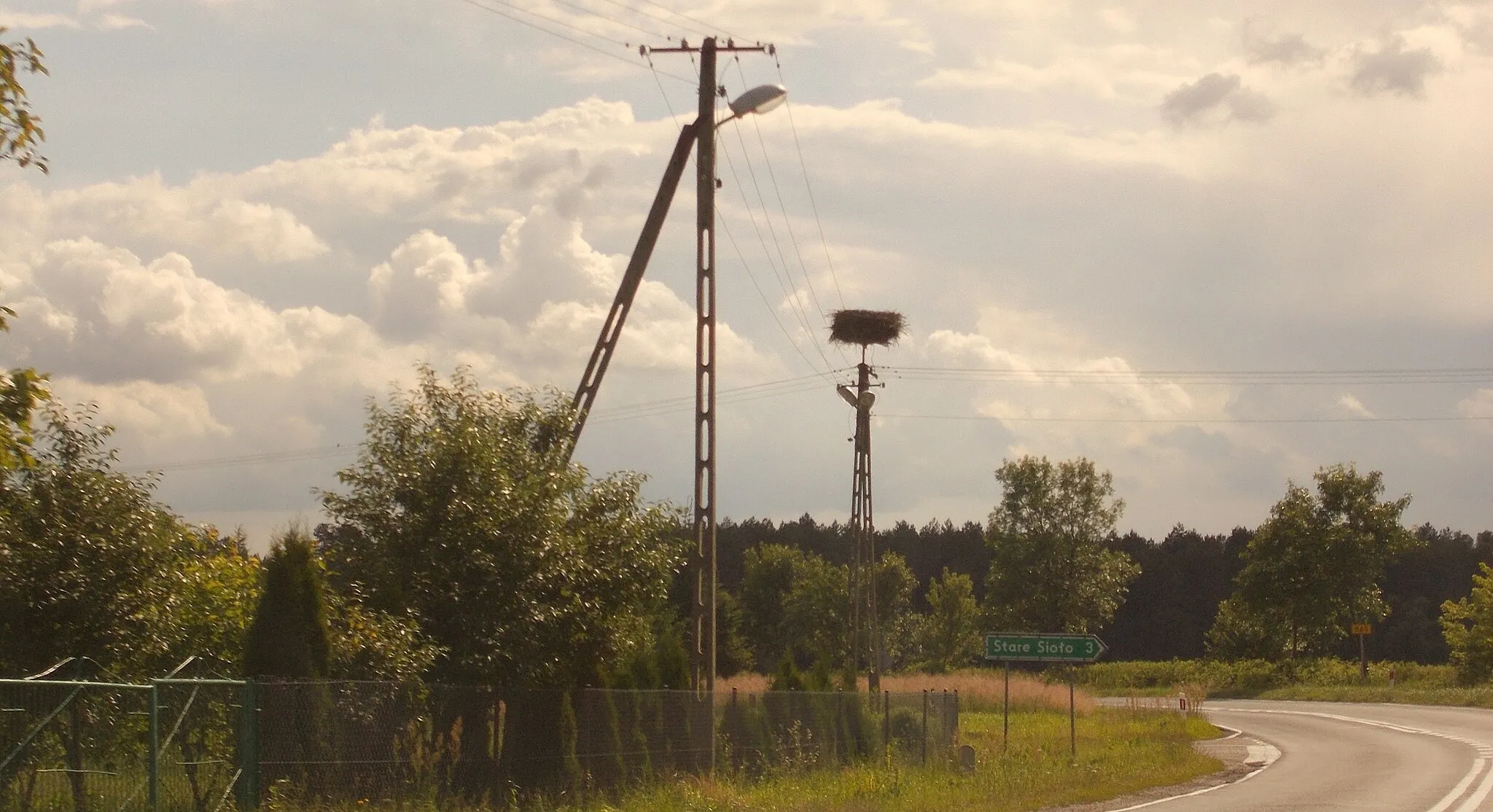 Photo showing: Bocianie gniazdo we wsi Lipina przy głównej drodze